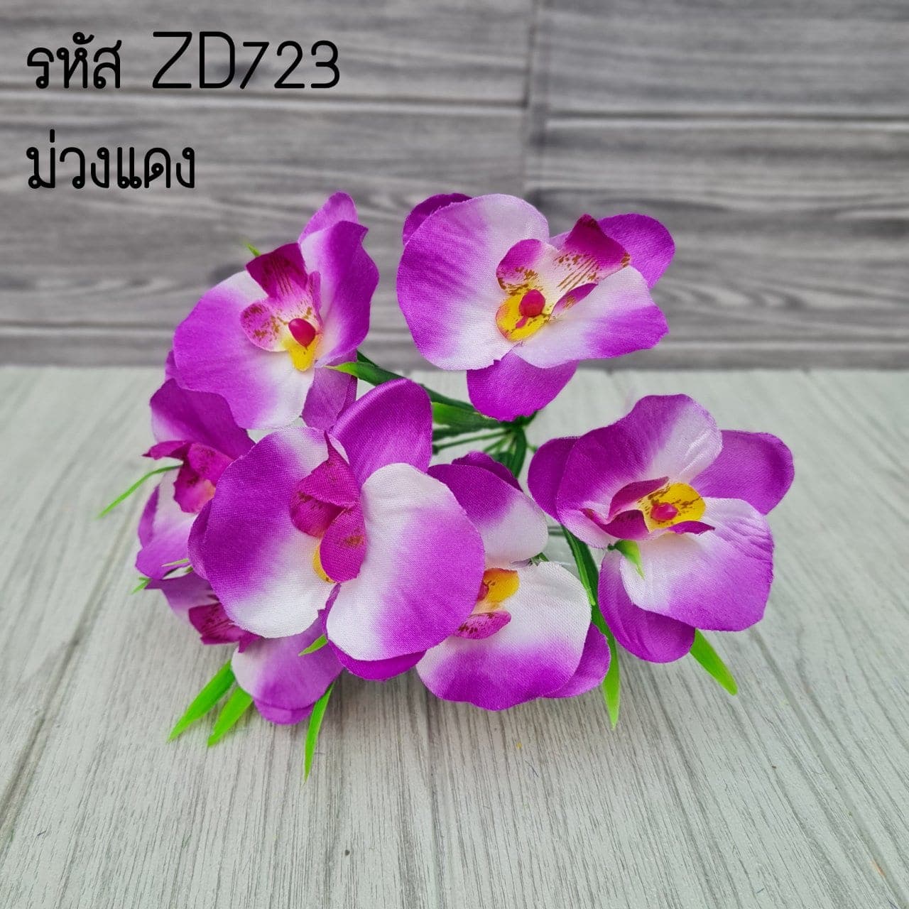 ฟาแลนด์ 7ดอก (ZD72), Phalaenopsis orchid (7 blooms): a long, swaying stem with evenly spaced flowers from base to tip.