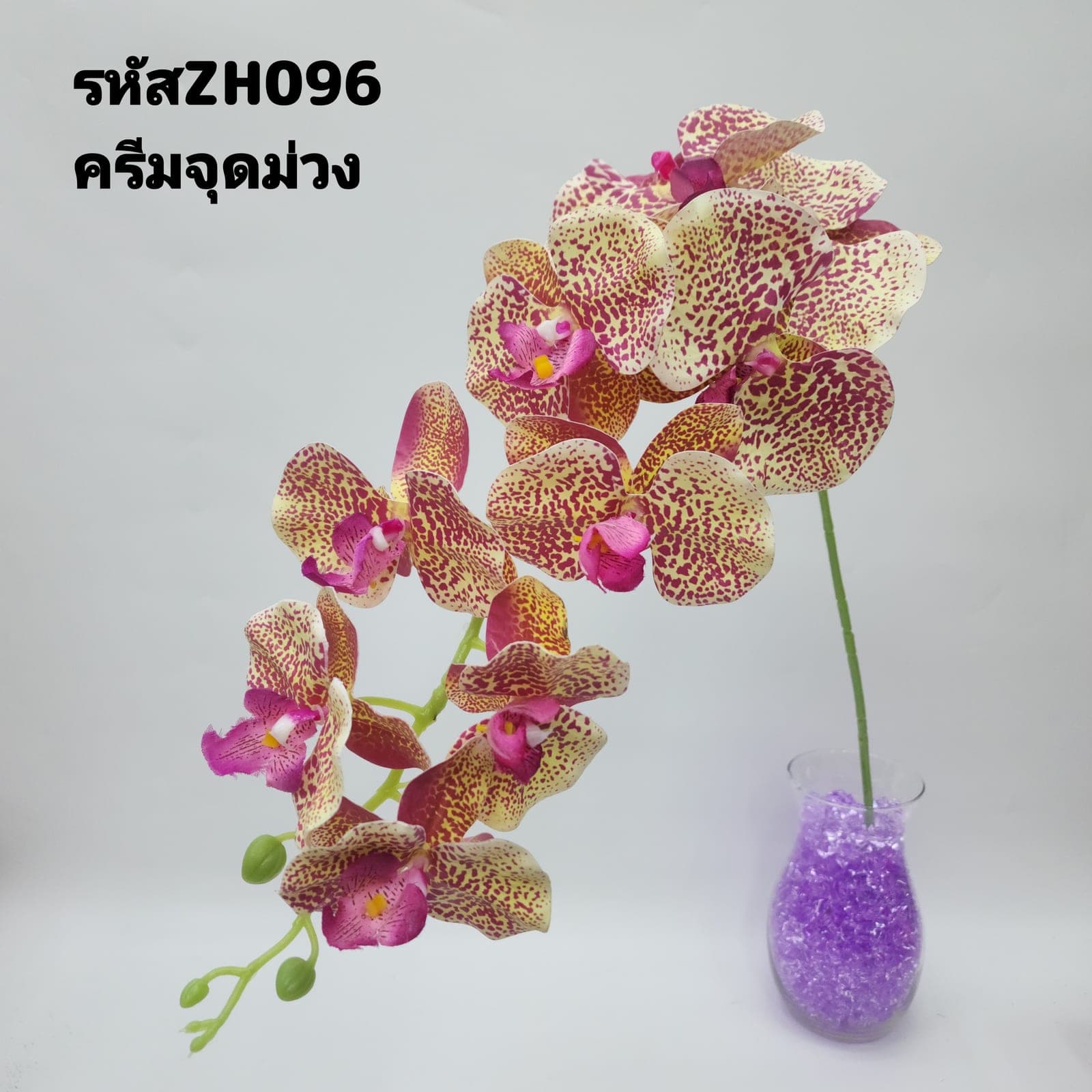 ฟาแลนด์ 9ดอก (ZH09), ฟาแลนนอปซิส 9 ดอก: ดอกเรียงตามก้านโค้งให้สมดุลแบบสถาปัตยกรรม