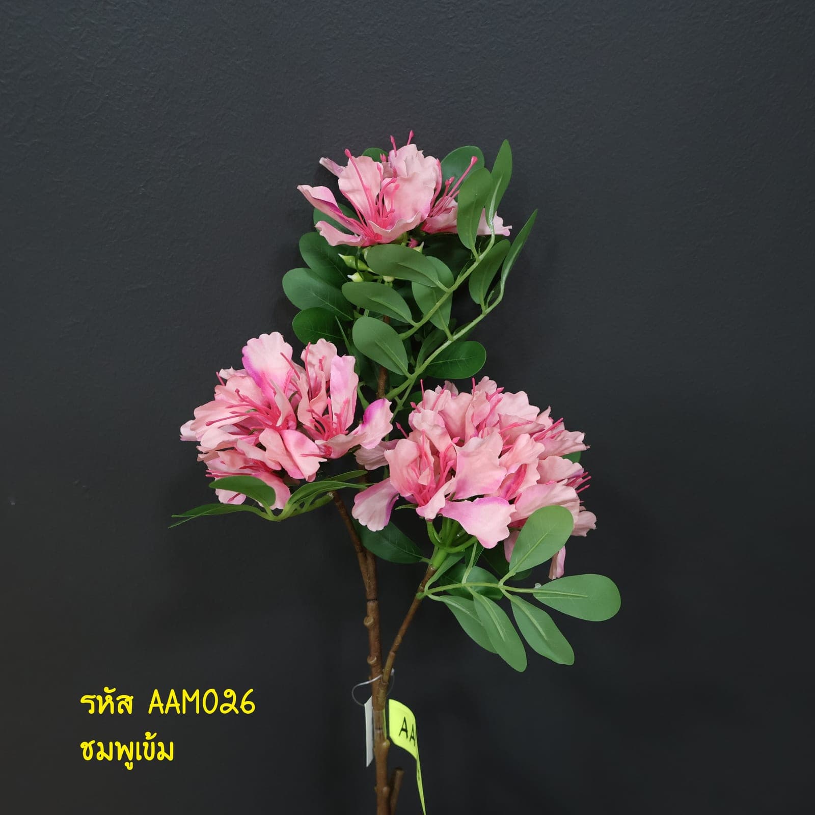 หางนกยูง 3ดอก (AAM02)