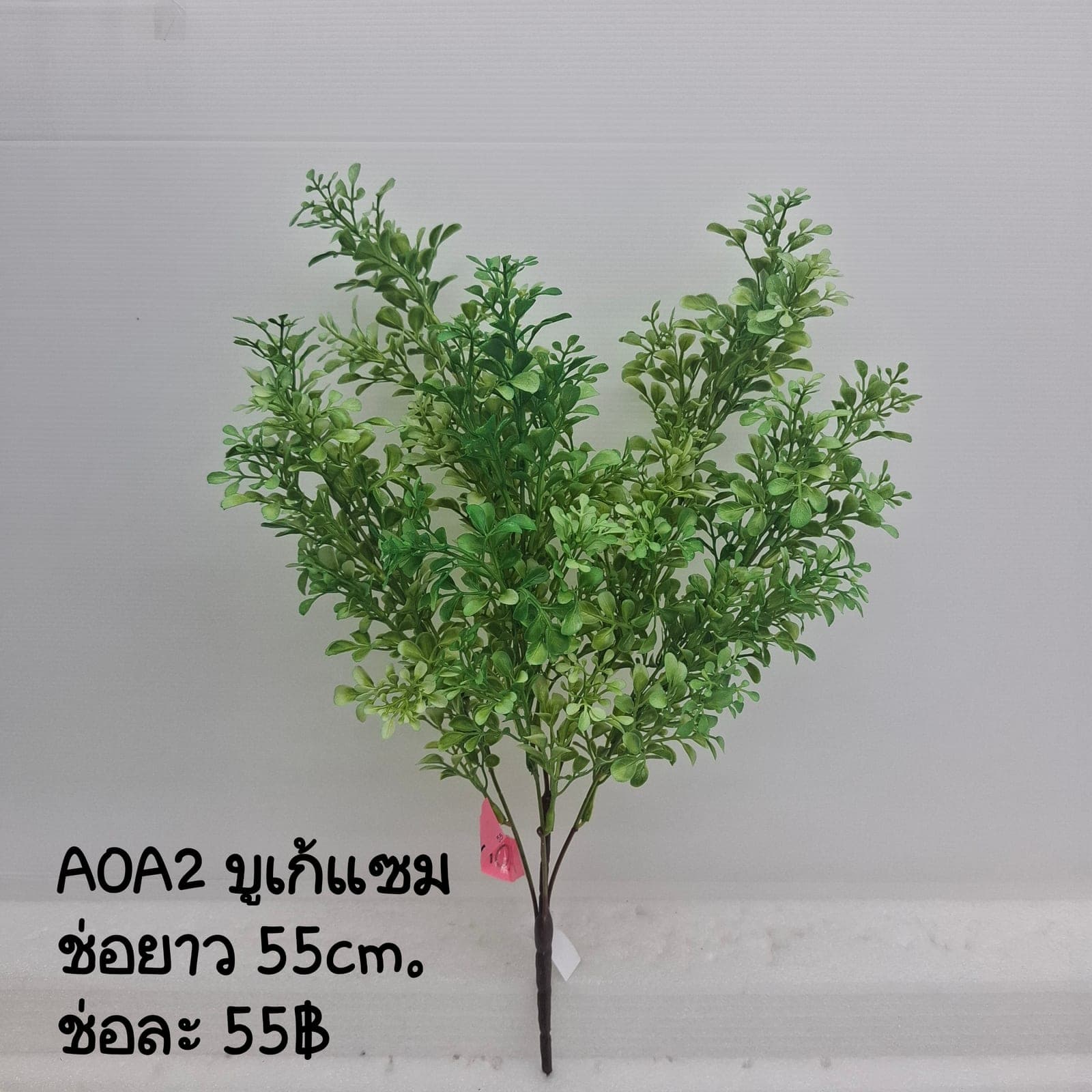 AOA02 (AOA02), Styling piece — an accent piece used to round out the overall styling.