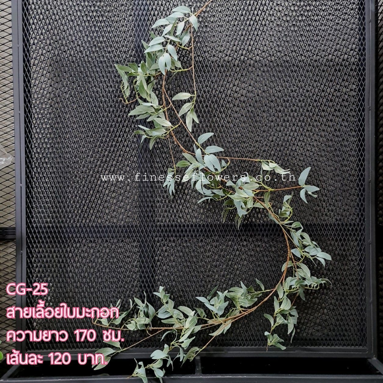 CG25 (CG25), ชิ้นส่วนสไตล์ลิ่ง: องค์ประกอบเสริมเพื่อจัดบรรยากาศและองค์ประกอบโดยรวม