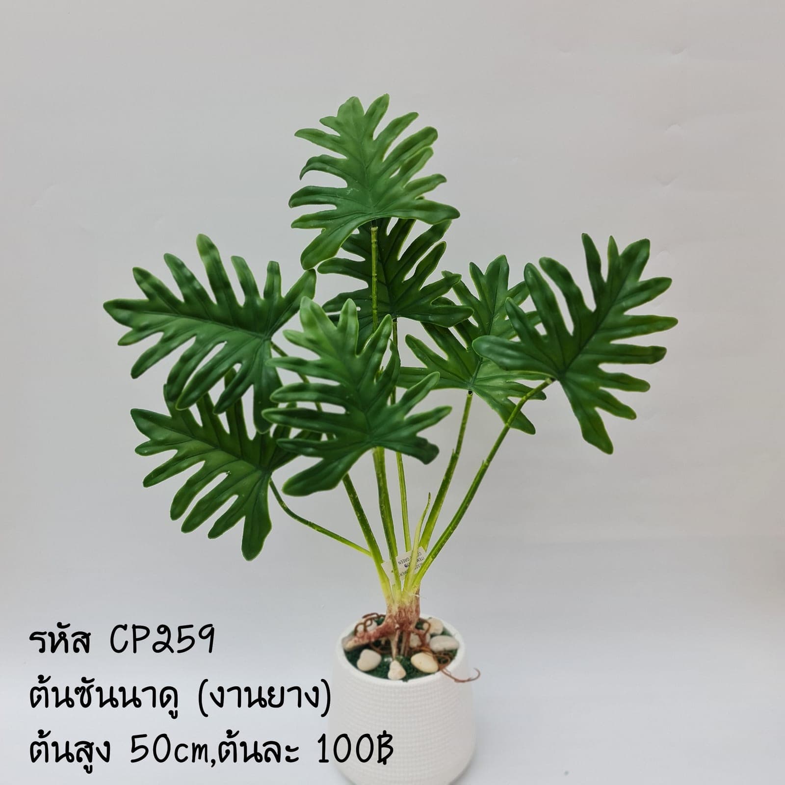 CP259 (CP259), ชิ้นส่วนสไตล์ลิ่ง: องค์ประกอบเสริมเพื่อจัดบรรยากาศและองค์ประกอบโดยรวม