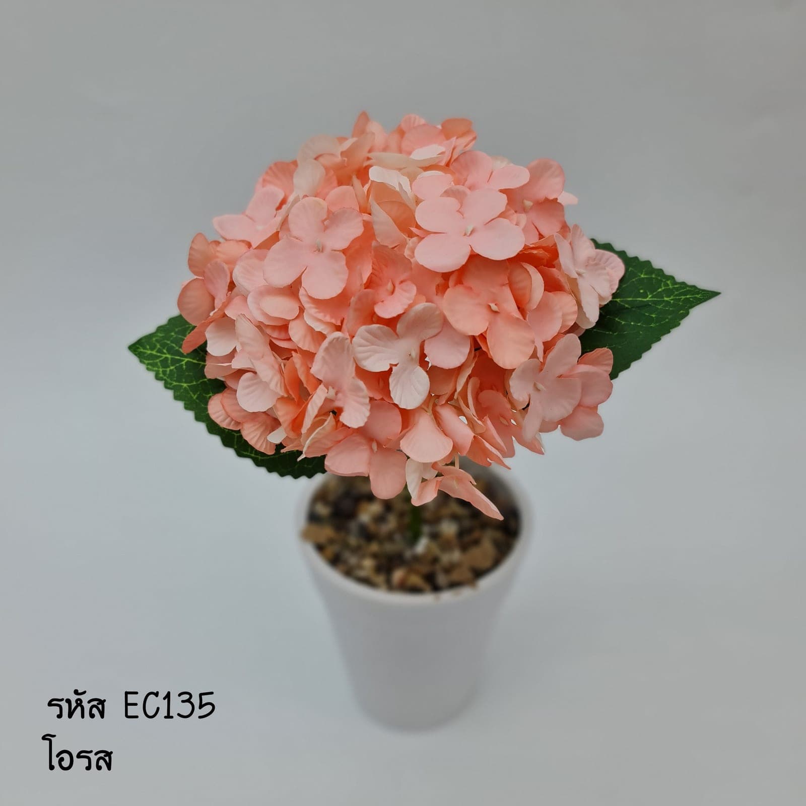 EC13 (EC13), ชิ้นส่วนสไตล์ลิ่ง: องค์ประกอบเสริมเพื่อจัดบรรยากาศและองค์ประกอบโดยรวม