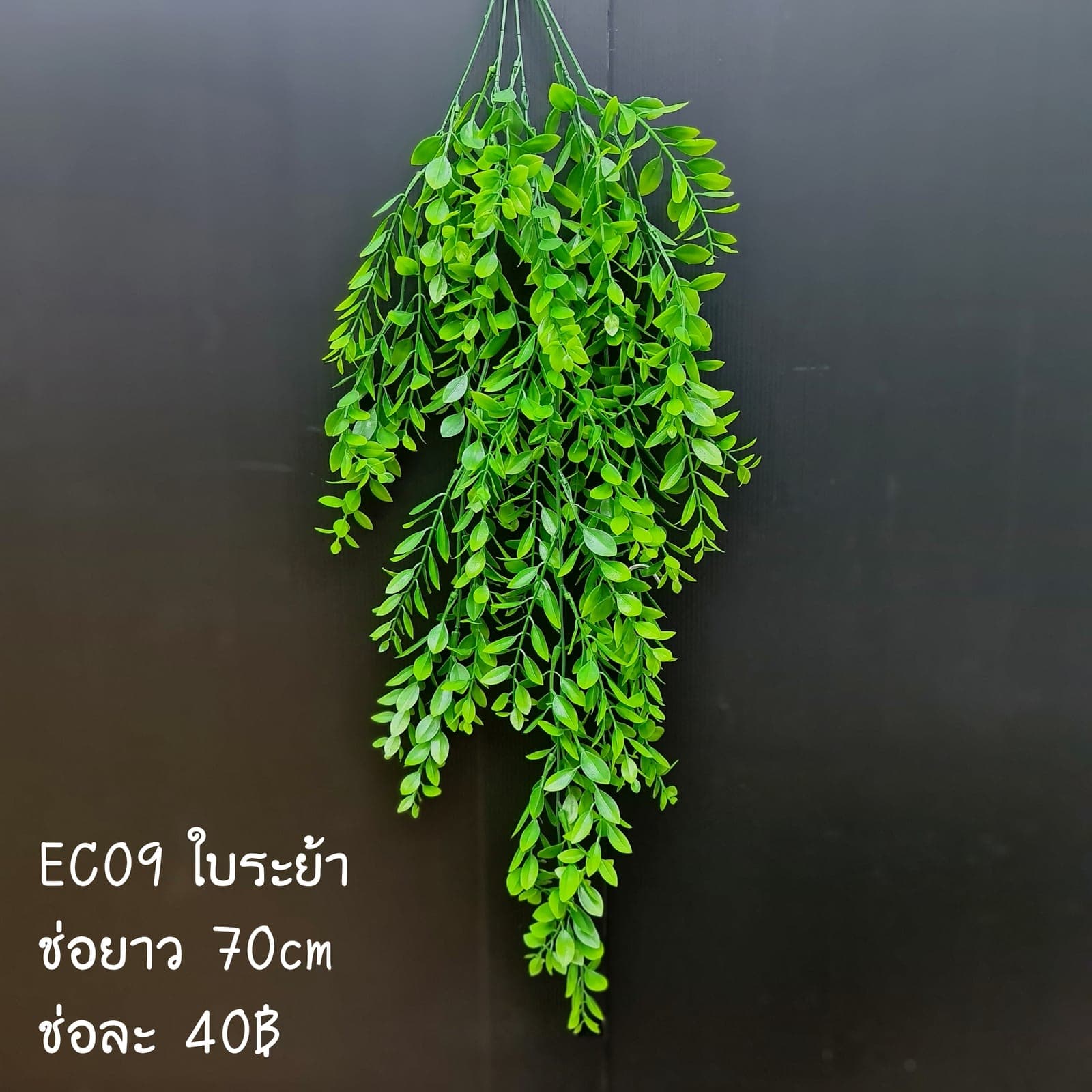 EC9 (EC9), ชิ้นส่วนสไตล์ลิ่ง: องค์ประกอบเสริมเพื่อจัดบรรยากาศและองค์ประกอบโดยรวม
