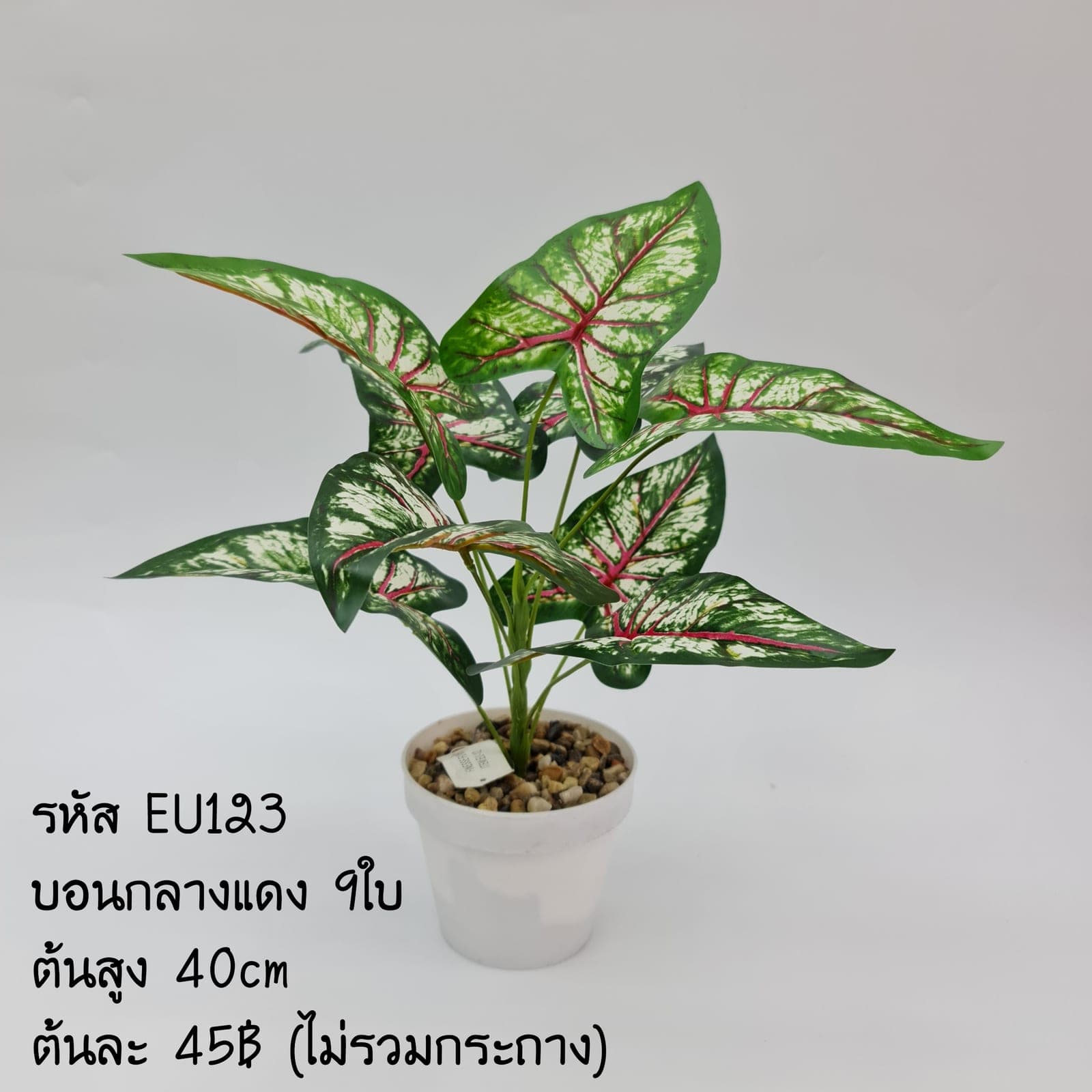EU123 (EU123), ชิ้นส่วนสไตล์ลิ่ง: องค์ประกอบเสริมเพื่อจัดบรรยากาศและองค์ประกอบโดยรวม