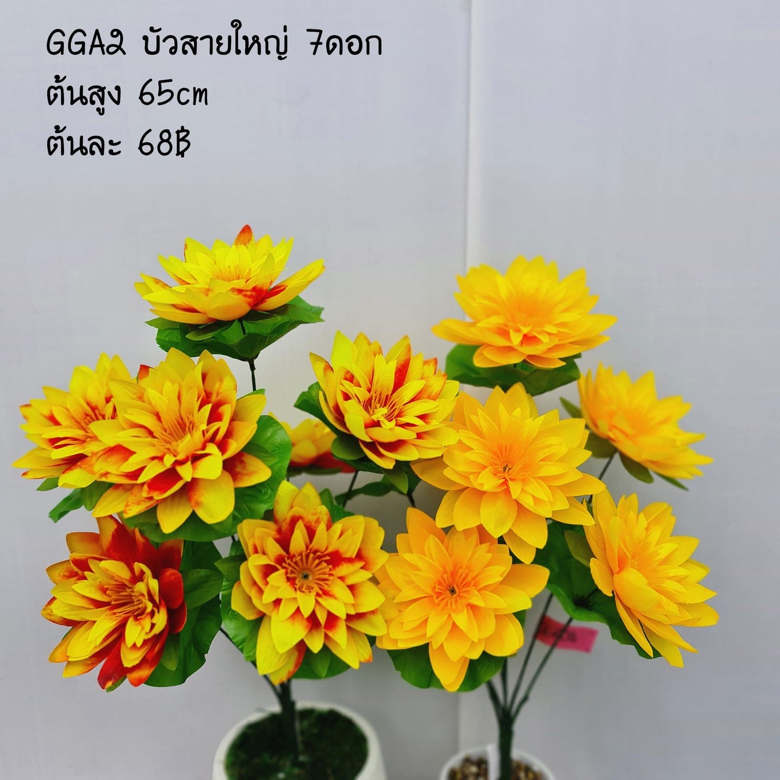 GGA2 (GGA2-2)