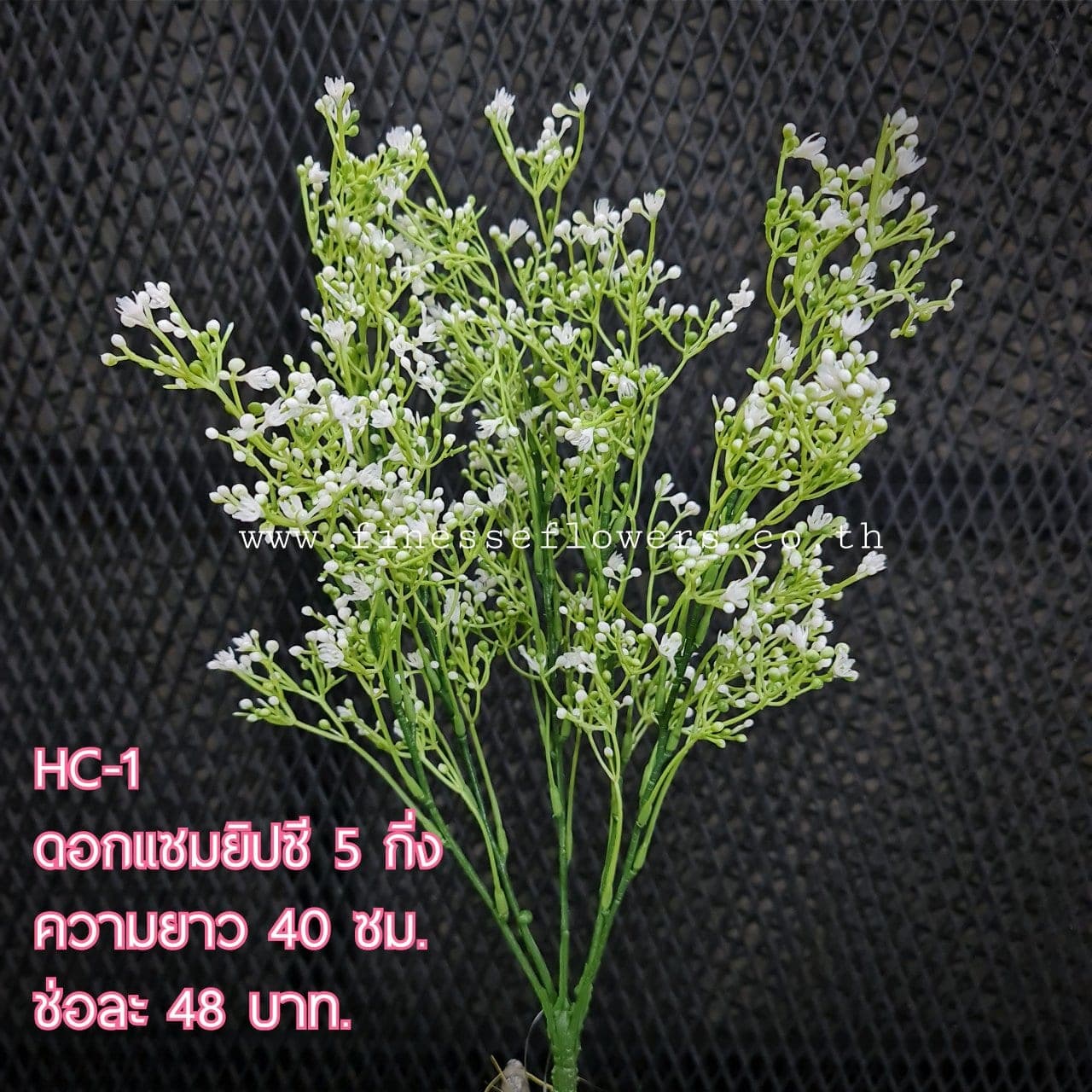 HC1 (HC1), ชิ้นส่วนสไตล์ลิ่ง: องค์ประกอบเสริมเพื่อจัดบรรยากาศและองค์ประกอบโดยรวม