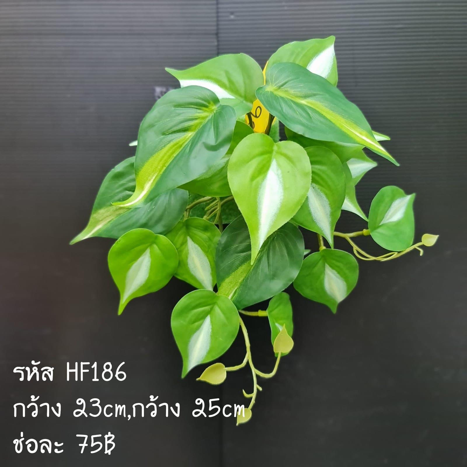 HF186 (HF186), ชิ้นส่วนสไตล์ลิ่ง: องค์ประกอบเสริมเพื่อจัดบรรยากาศและองค์ประกอบโดยรวม