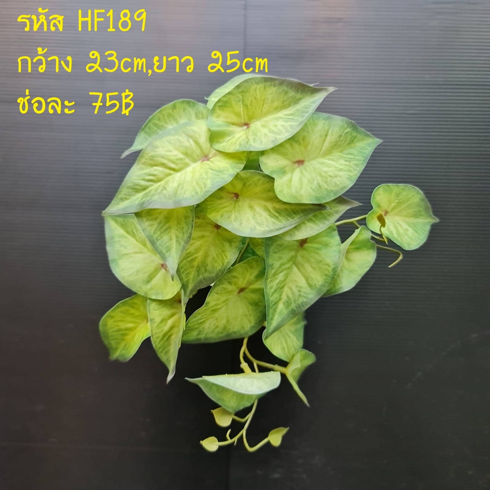 HF189 (HF189), ชิ้นส่วนสไตล์ลิ่ง: องค์ประกอบเสริมเพื่อจัดบรรยากาศและองค์ประกอบโดยรวม