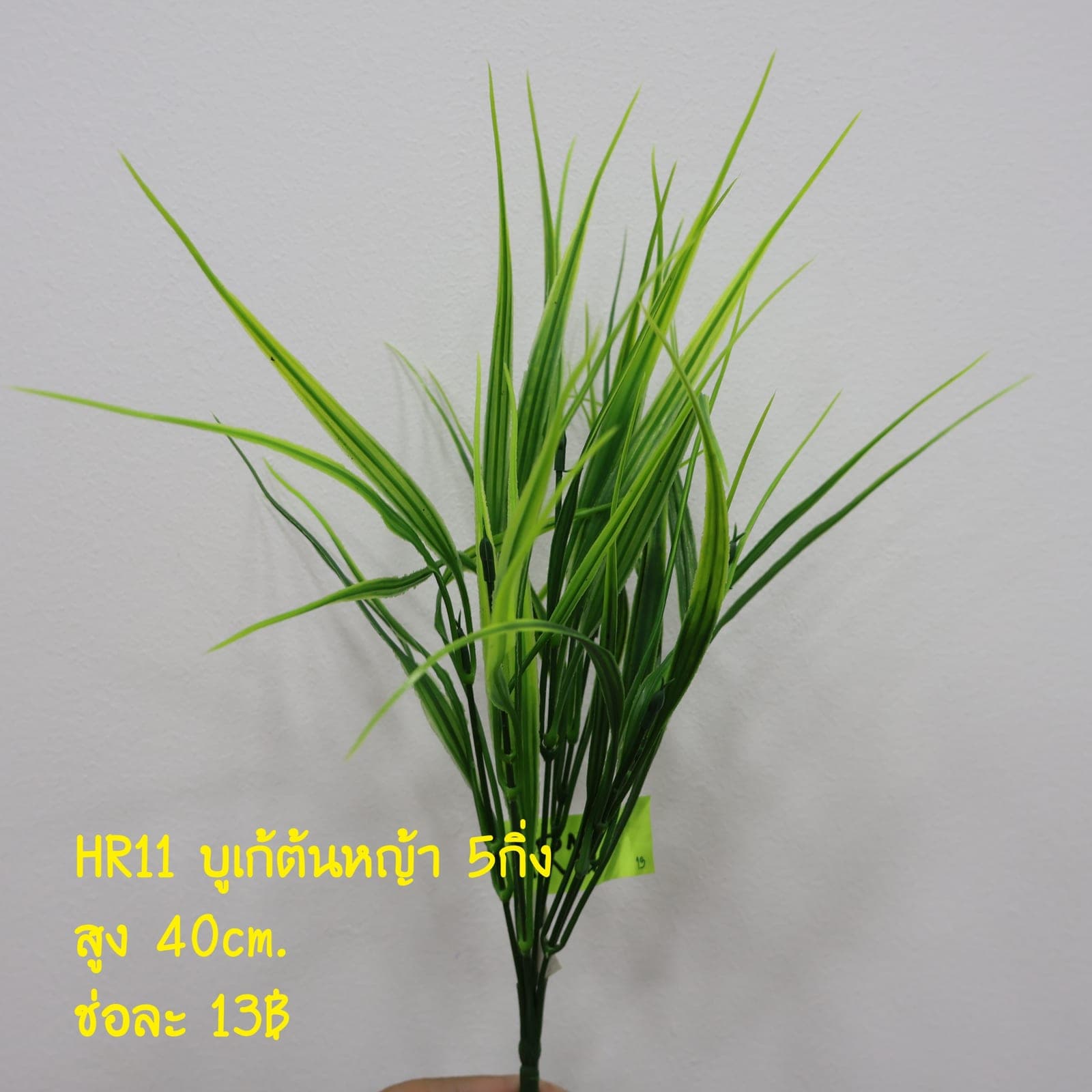บูเก้ต้นหญ้า (HR11)