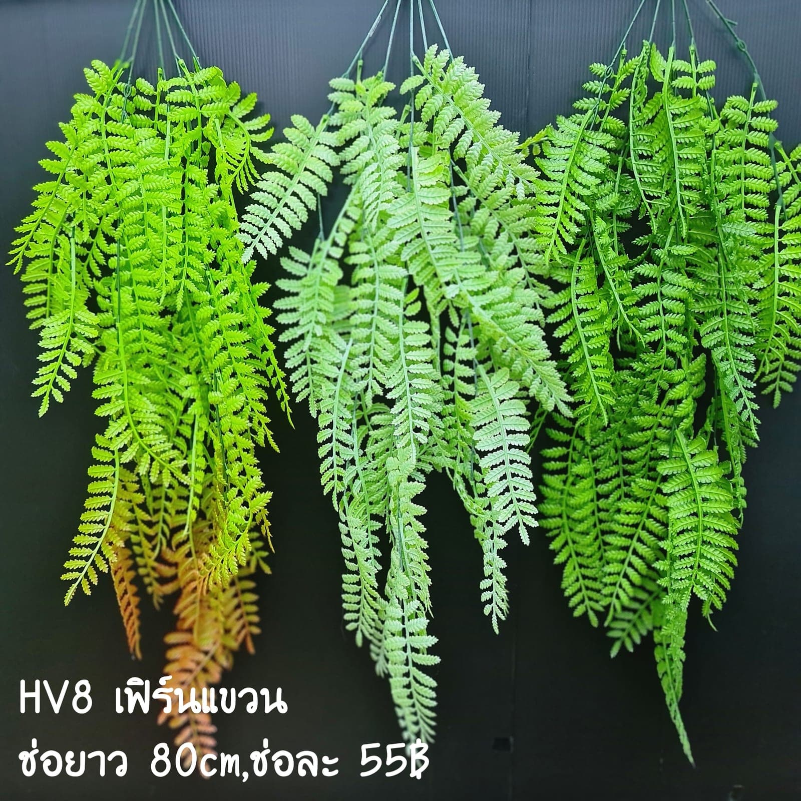 HV8 (HV8), Styling piece: an accent piece used to round out the overall styling.