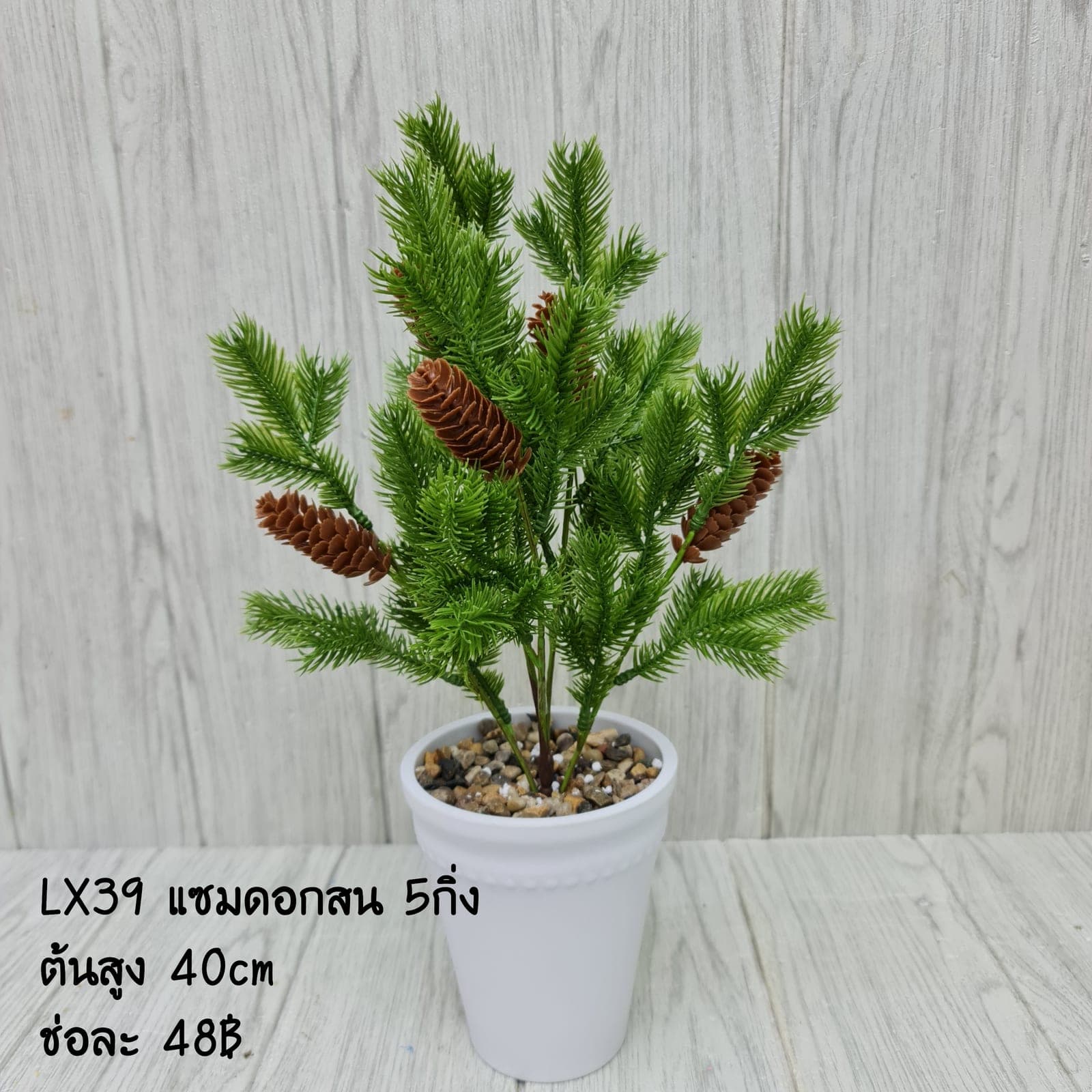 LX39 (LX39), ชิ้นส่วนสไตล์ลิ่ง: องค์ประกอบเสริมเพื่อจัดบรรยากาศและองค์ประกอบโดยรวม
