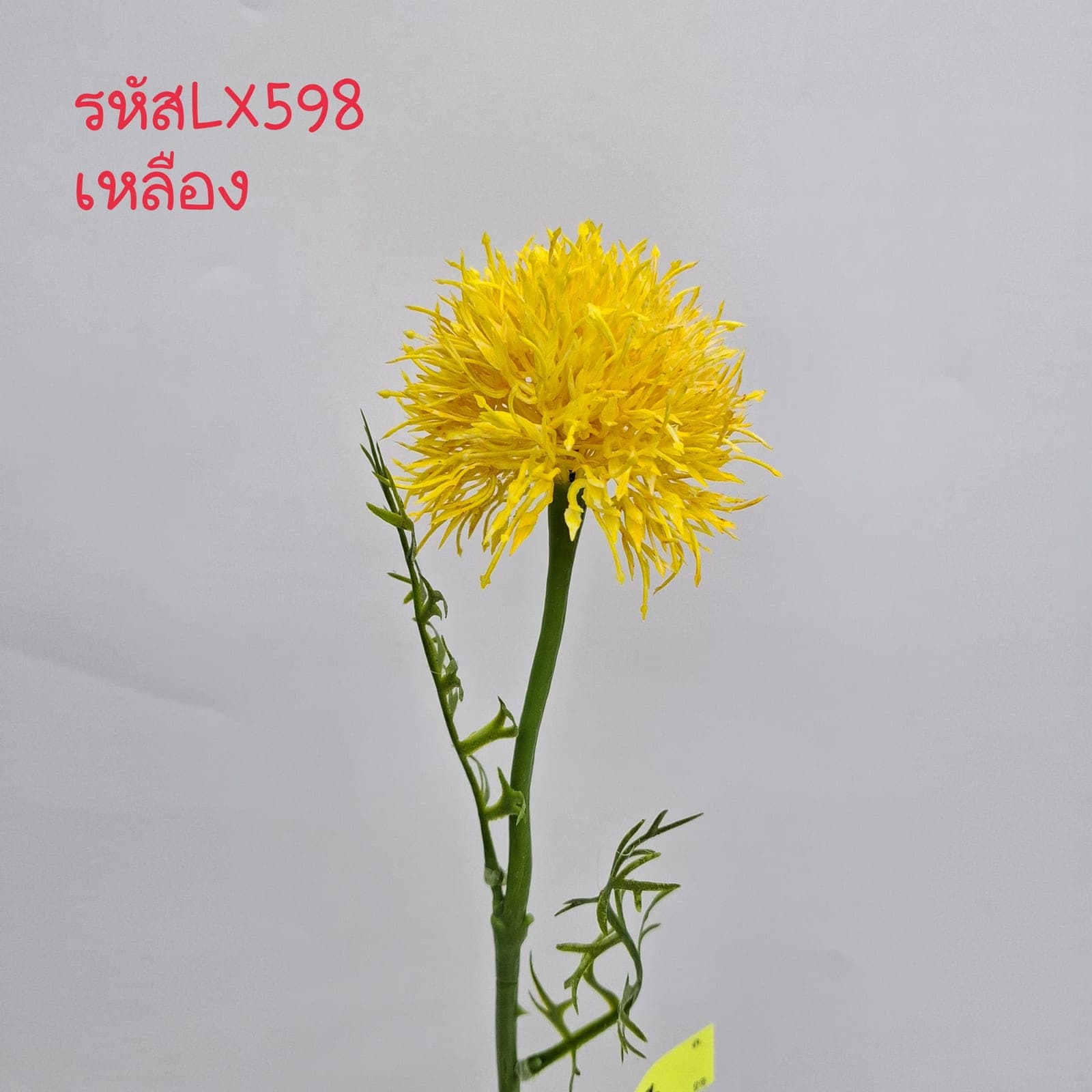 แดนดิไลอ้อน เดี่ยว (LX59), ก้านเดี่ยวชิ้นส่วนสไตล์ลิ่ง: องค์ประกอบเสริมเพื่อจัดบรรยากาศและองค์ประกอบโดยรวม