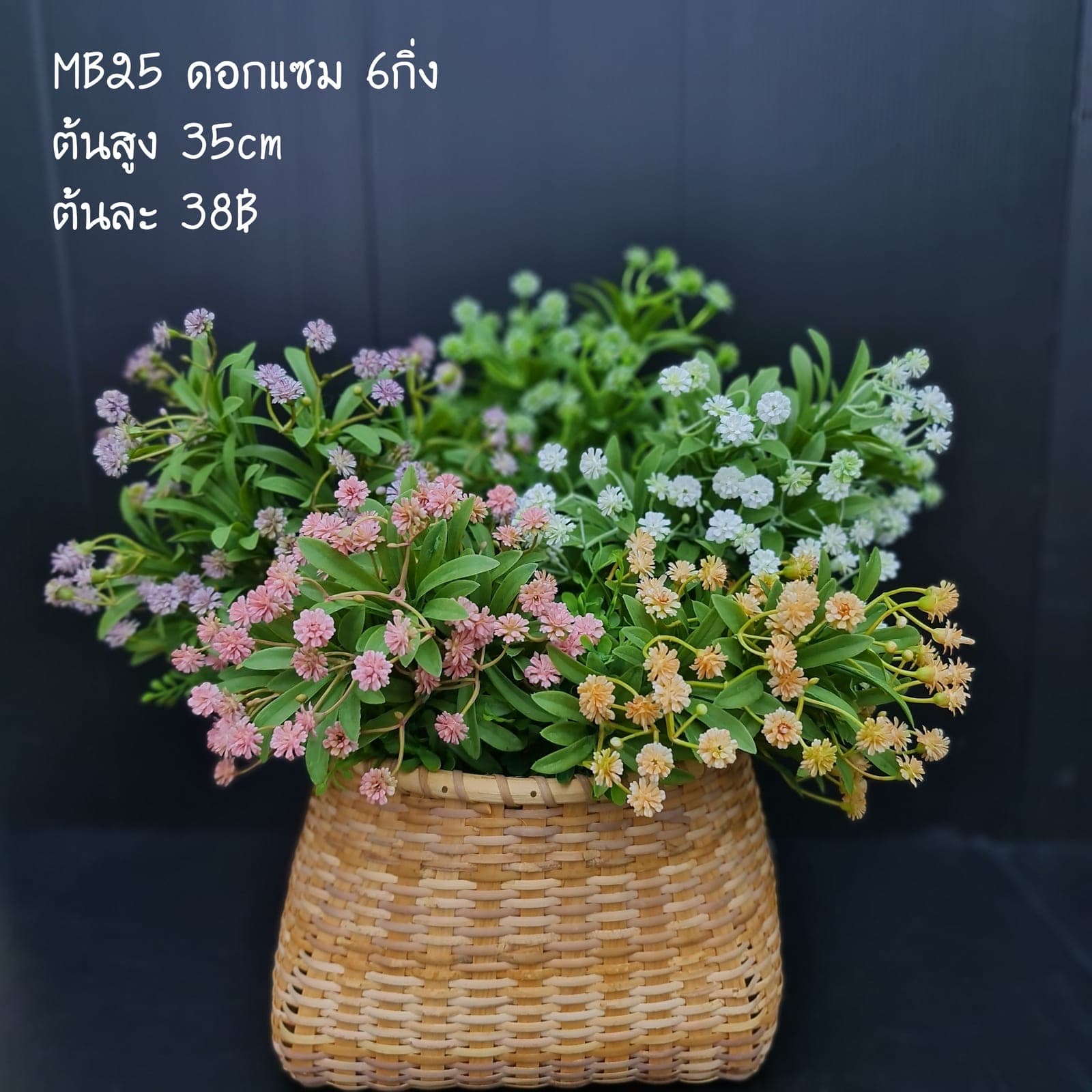 MB25 (MB25-2)
