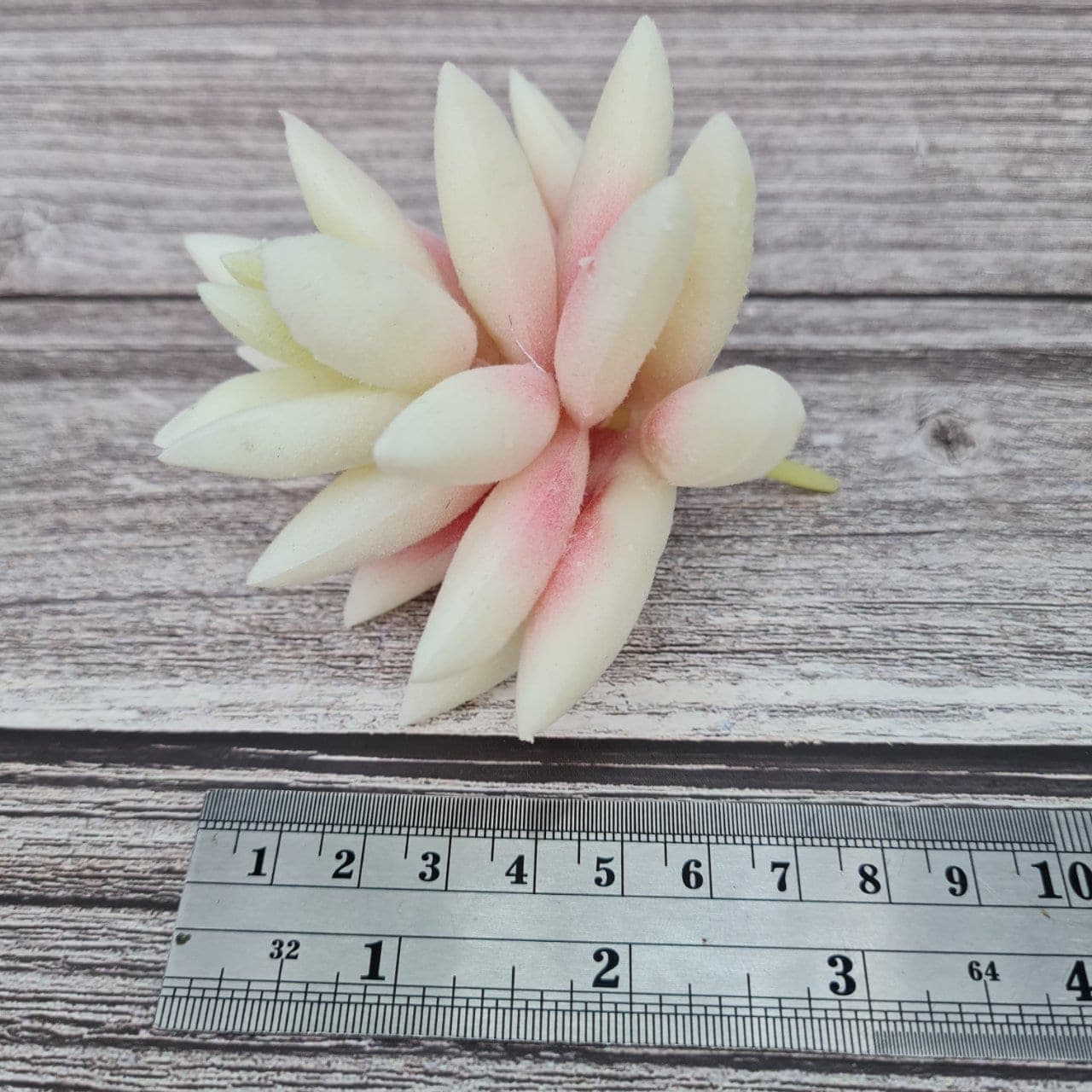 MM247 (MM247), ชิ้นส่วนสไตล์ลิ่ง: องค์ประกอบเสริมเพื่อจัดบรรยากาศและองค์ประกอบโดยรวม