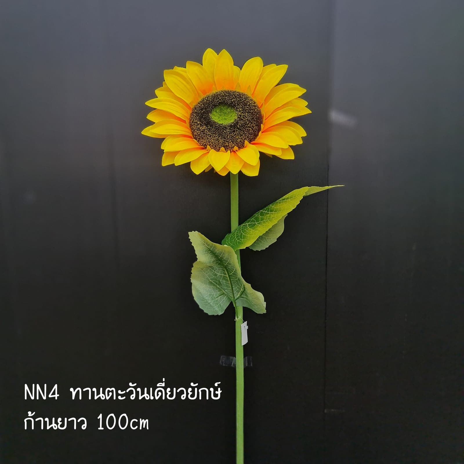 NN04 (NN04), ชิ้นส่วนสไตล์ลิ่ง: องค์ประกอบเสริมเพื่อจัดบรรยากาศและองค์ประกอบโดยรวม