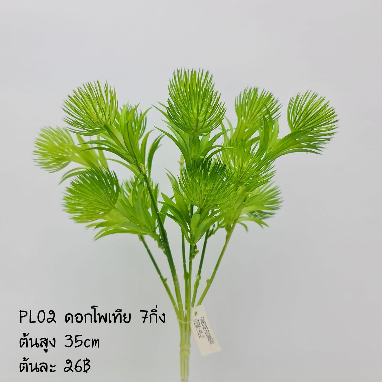 PL2 (PL2), Styling piece: an accent piece used to round out the overall styling.