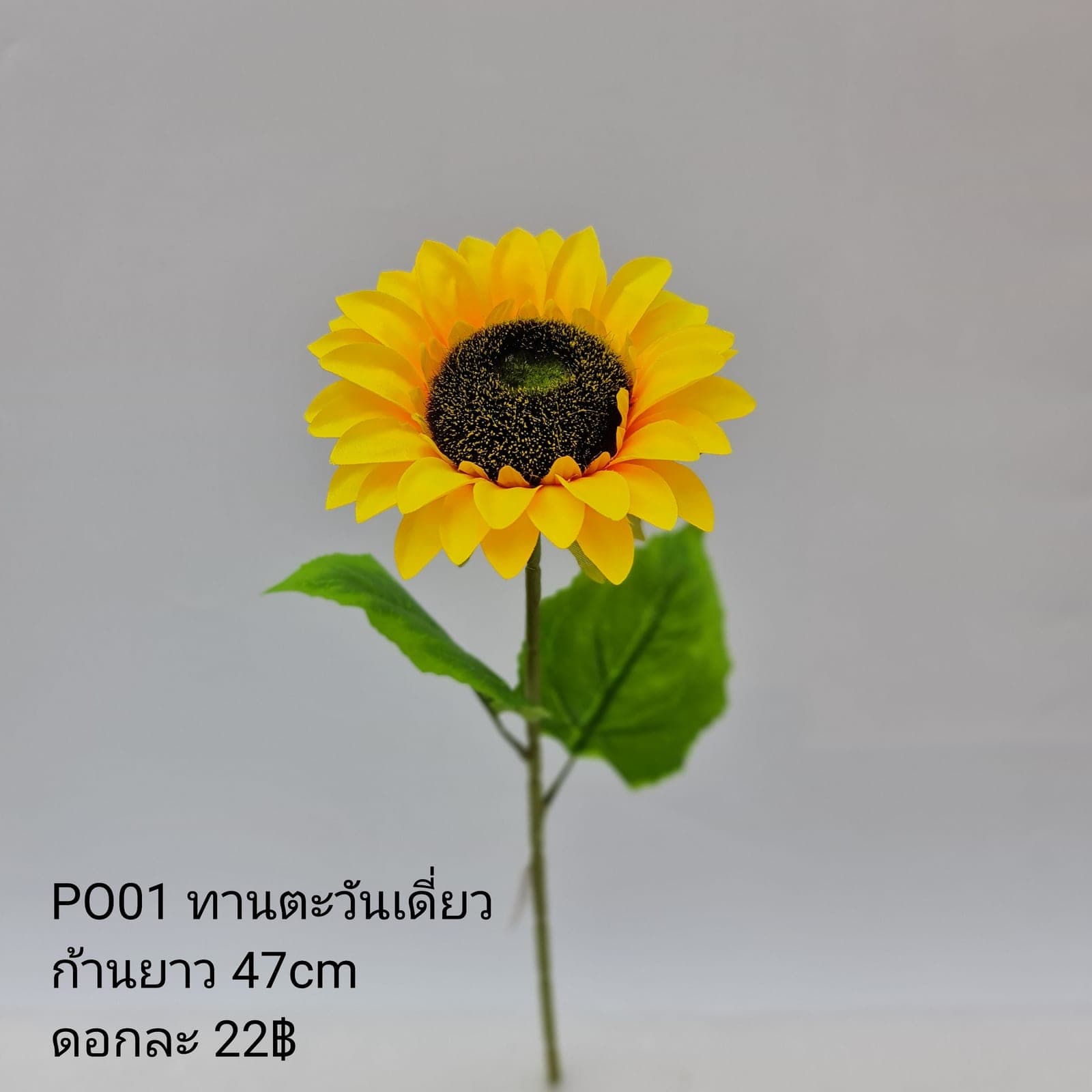 PO1 (PO1), ชิ้นส่วนสไตล์ลิ่ง: องค์ประกอบเสริมเพื่อจัดบรรยากาศและองค์ประกอบโดยรวม