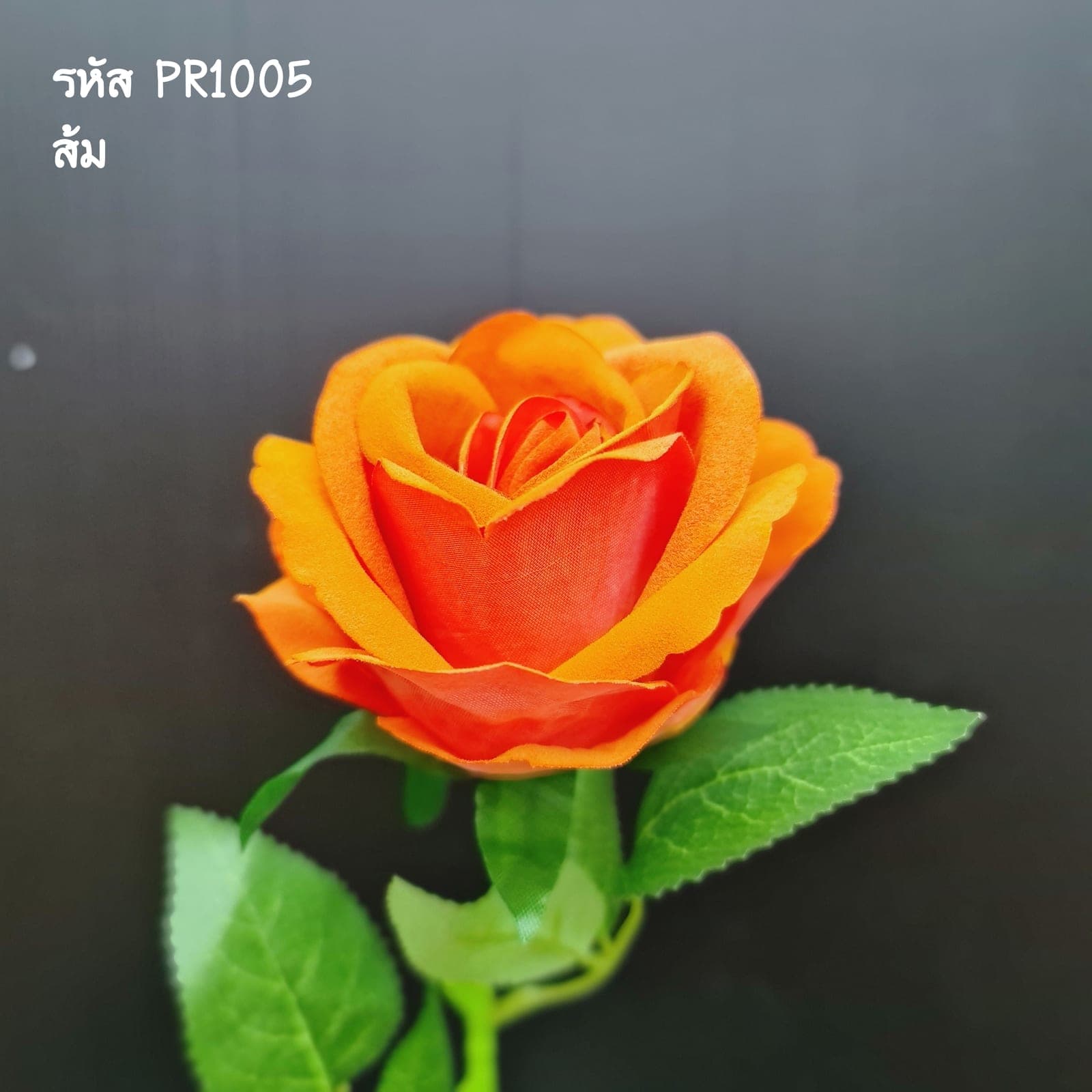 PR10 (PR10), ชิ้นส่วนสไตล์ลิ่ง: องค์ประกอบเสริมเพื่อจัดบรรยากาศและองค์ประกอบโดยรวม