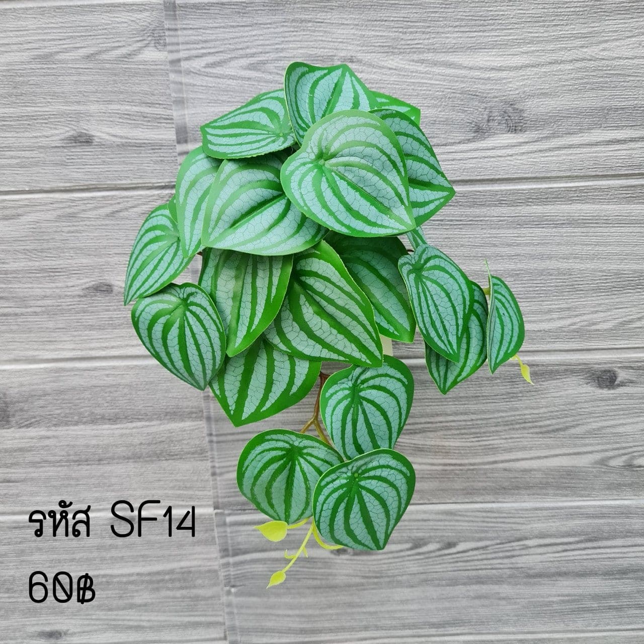 SF14 (SF14), ชิ้นส่วนสไตล์ลิ่ง: องค์ประกอบเสริมเพื่อจัดบรรยากาศและองค์ประกอบโดยรวม