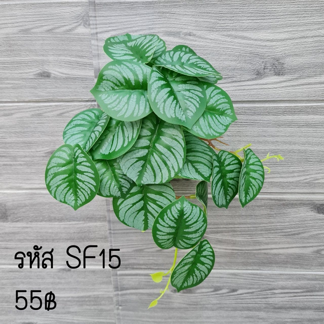 SF15 (SF15), ชิ้นส่วนสไตล์ลิ่ง: องค์ประกอบเสริมเพื่อจัดบรรยากาศและองค์ประกอบโดยรวม