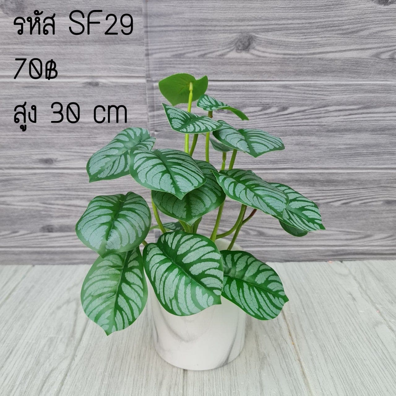 SF29 (SF29), ชิ้นส่วนสไตล์ลิ่ง: องค์ประกอบเสริมเพื่อจัดบรรยากาศและองค์ประกอบโดยรวม