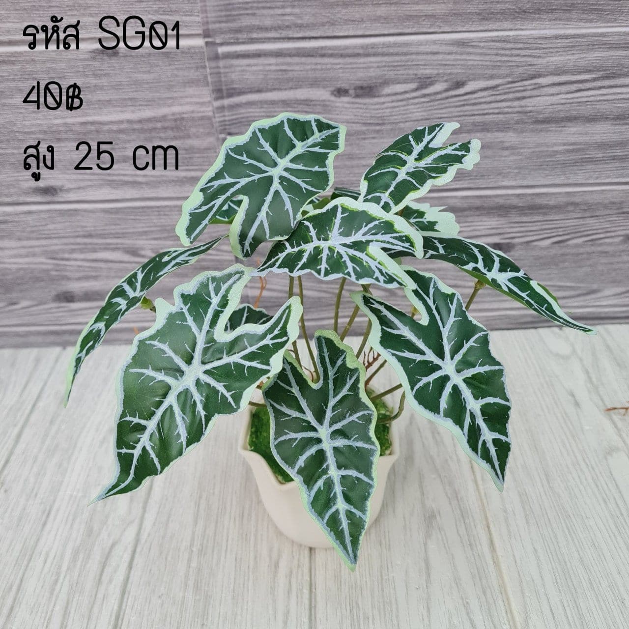 SG1 (SG1), ชิ้นส่วนสไตล์ลิ่ง: องค์ประกอบเสริมเพื่อจัดบรรยากาศและองค์ประกอบโดยรวม