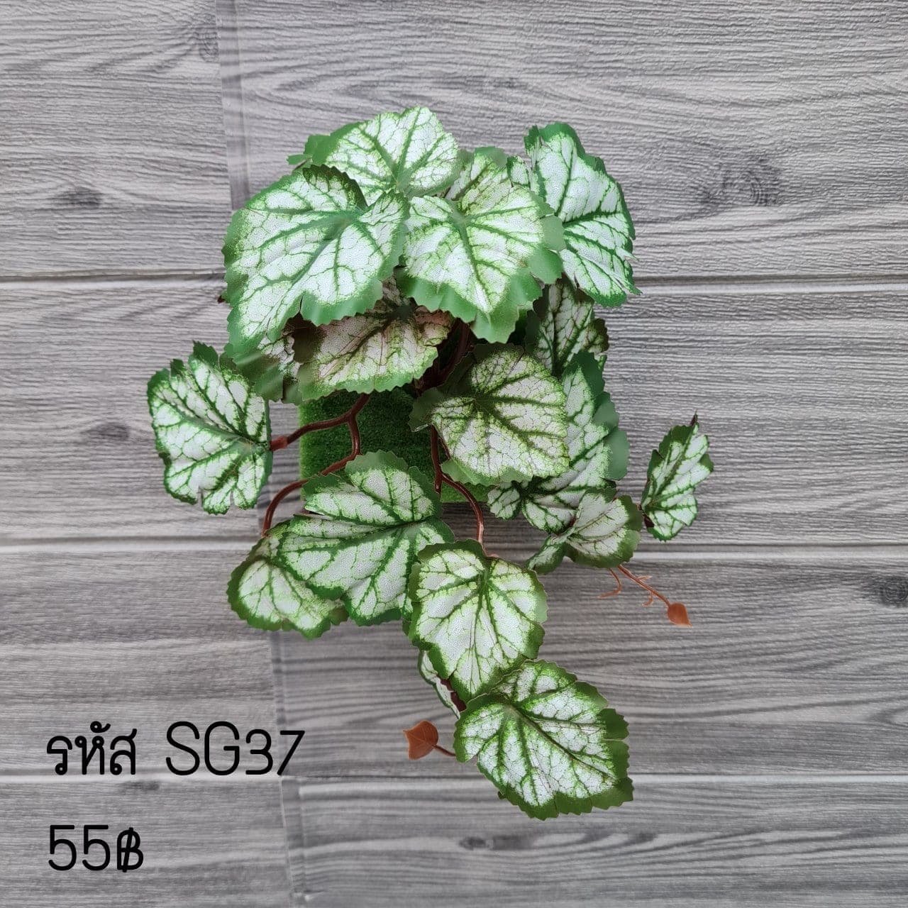SG37 (SG37), ชิ้นส่วนสไตล์ลิ่ง: องค์ประกอบเสริมเพื่อจัดบรรยากาศและองค์ประกอบโดยรวม
