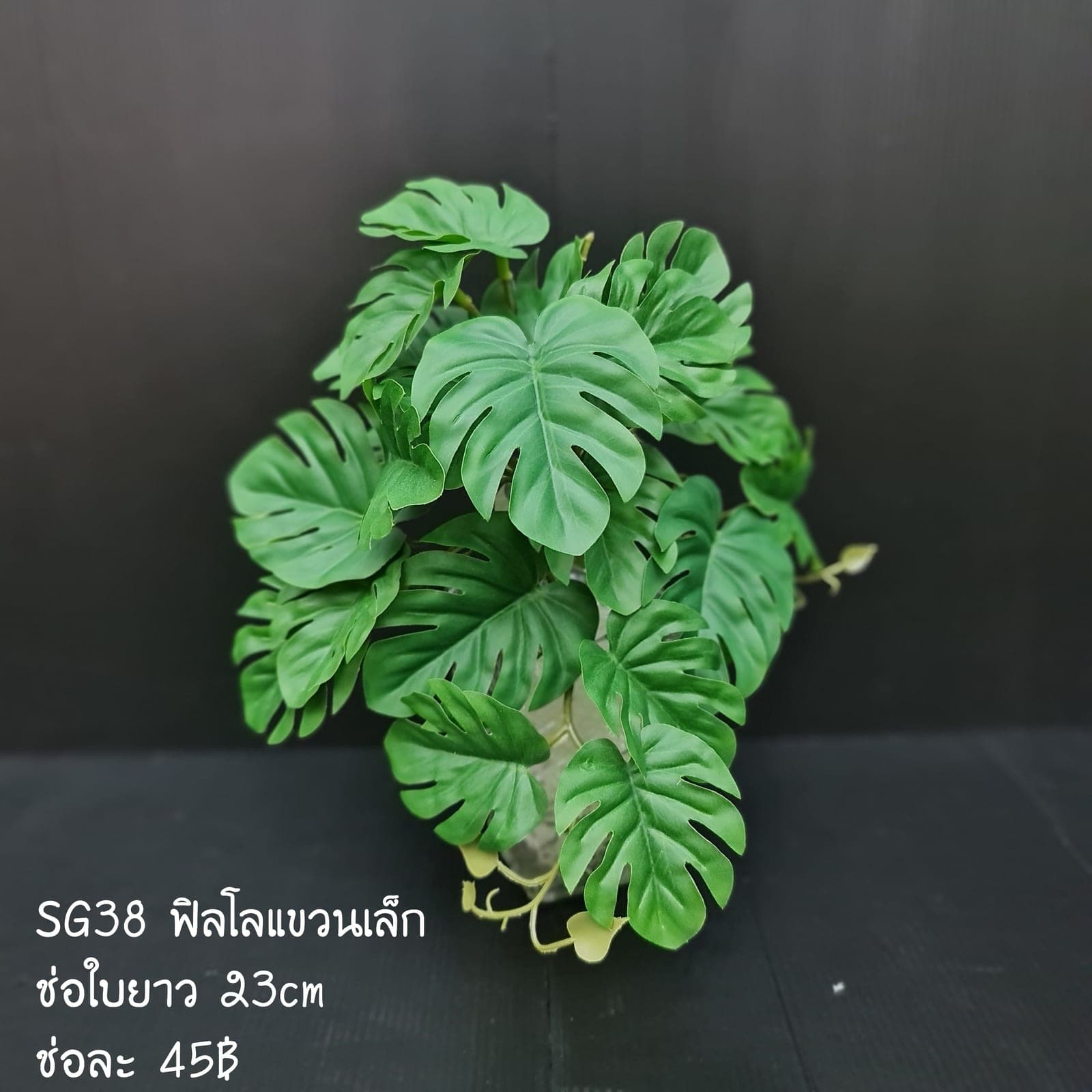 SG38 (SG38), ชิ้นส่วนสไตล์ลิ่ง: องค์ประกอบเสริมเพื่อจัดบรรยากาศและองค์ประกอบโดยรวม
