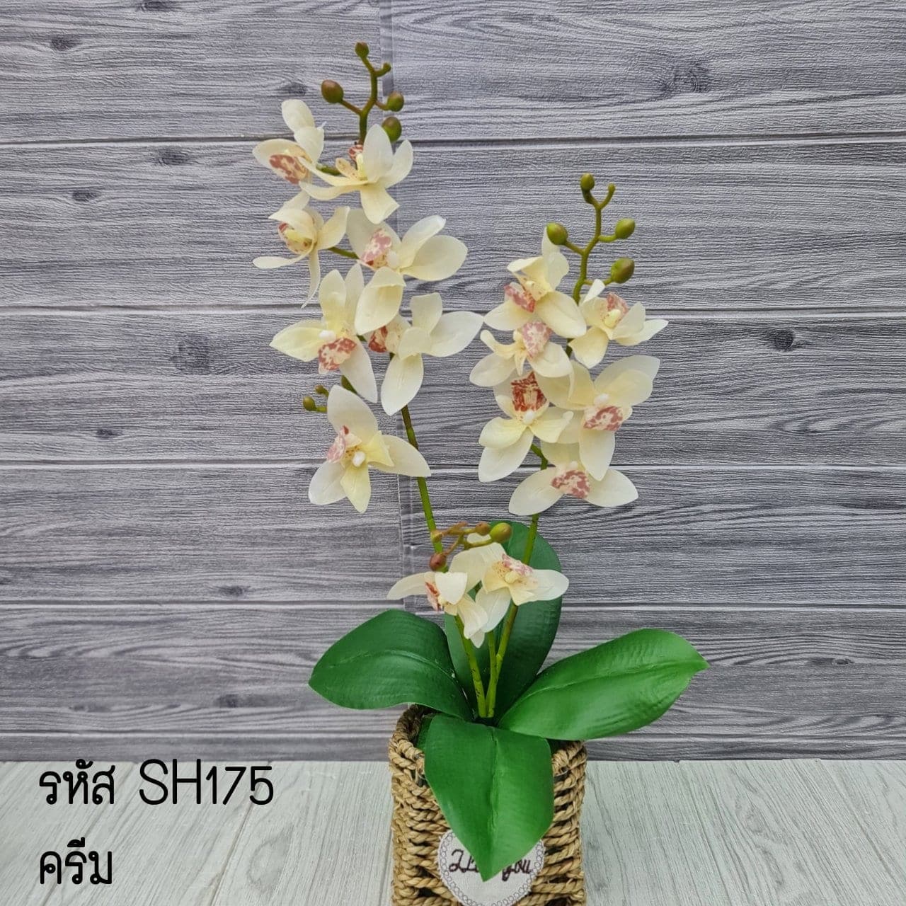 SH17 (SH17), กล้วยไม้: เส้นโค้งของช่อและกลีบบาง ให้องค์ประกอบลอยและสะอาด