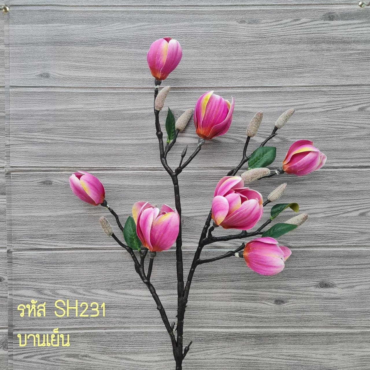 แมคโนเลียก้านดำ (SH23), ชิ้นส่วนสไตล์ลิ่ง: องค์ประกอบเสริมเพื่อจัดบรรยากาศและองค์ประกอบโดยรวม
