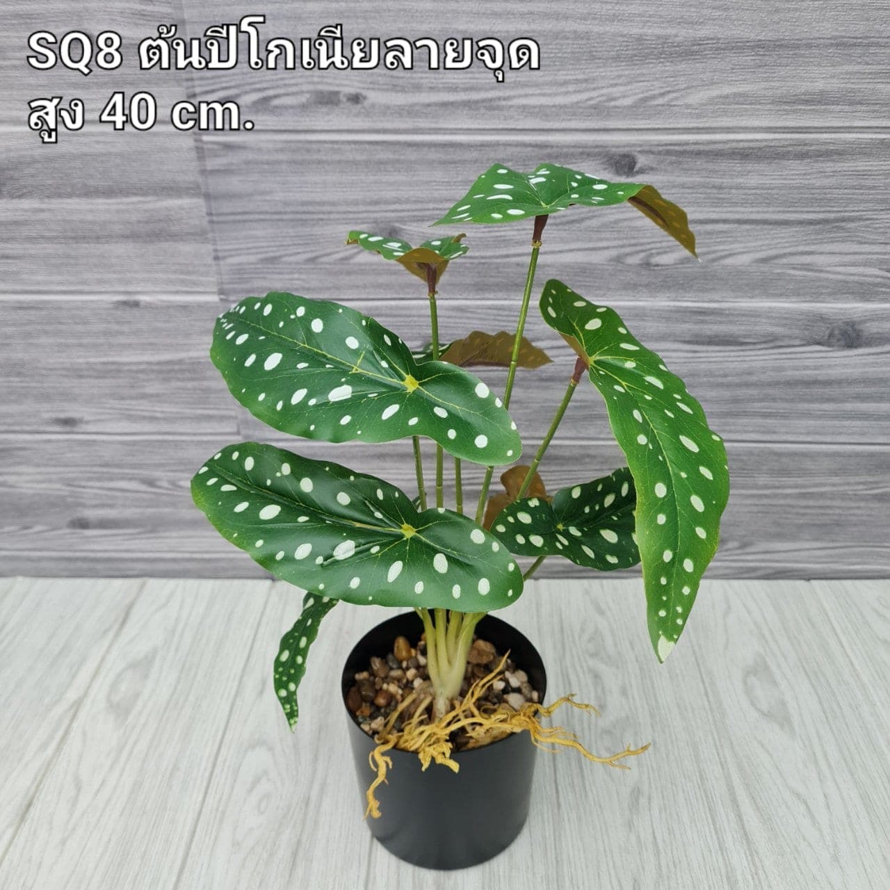 ปีโกเนียจุด (SQ8), ชิ้นส่วนสไตล์ลิ่ง: องค์ประกอบเสริมเพื่อจัดบรรยากาศและองค์ประกอบโดยรวม