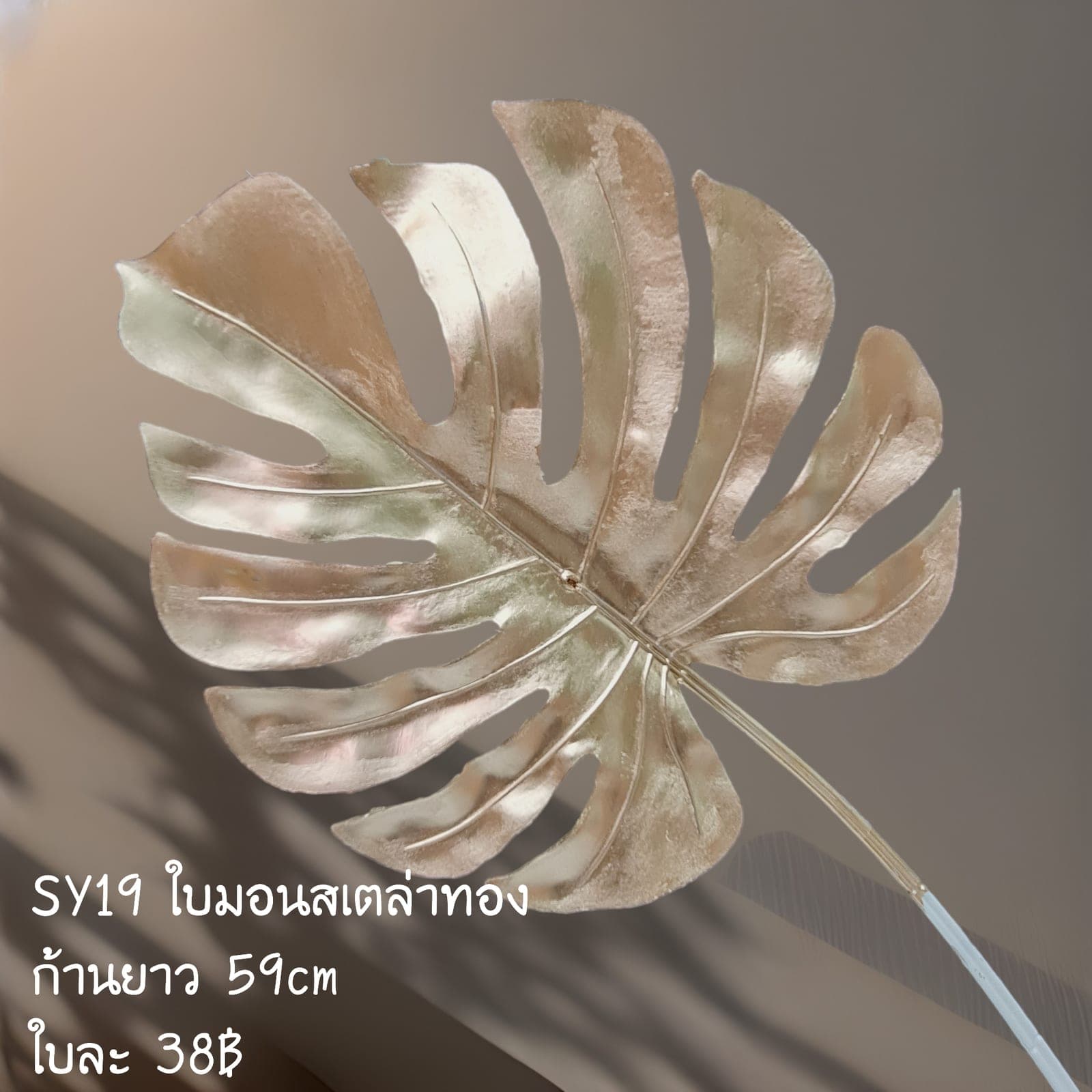 มอนทอง (SY19), ชิ้นส่วนสไตล์ลิ่ง: องค์ประกอบเสริมเพื่อจัดบรรยากาศและองค์ประกอบโดยรวม