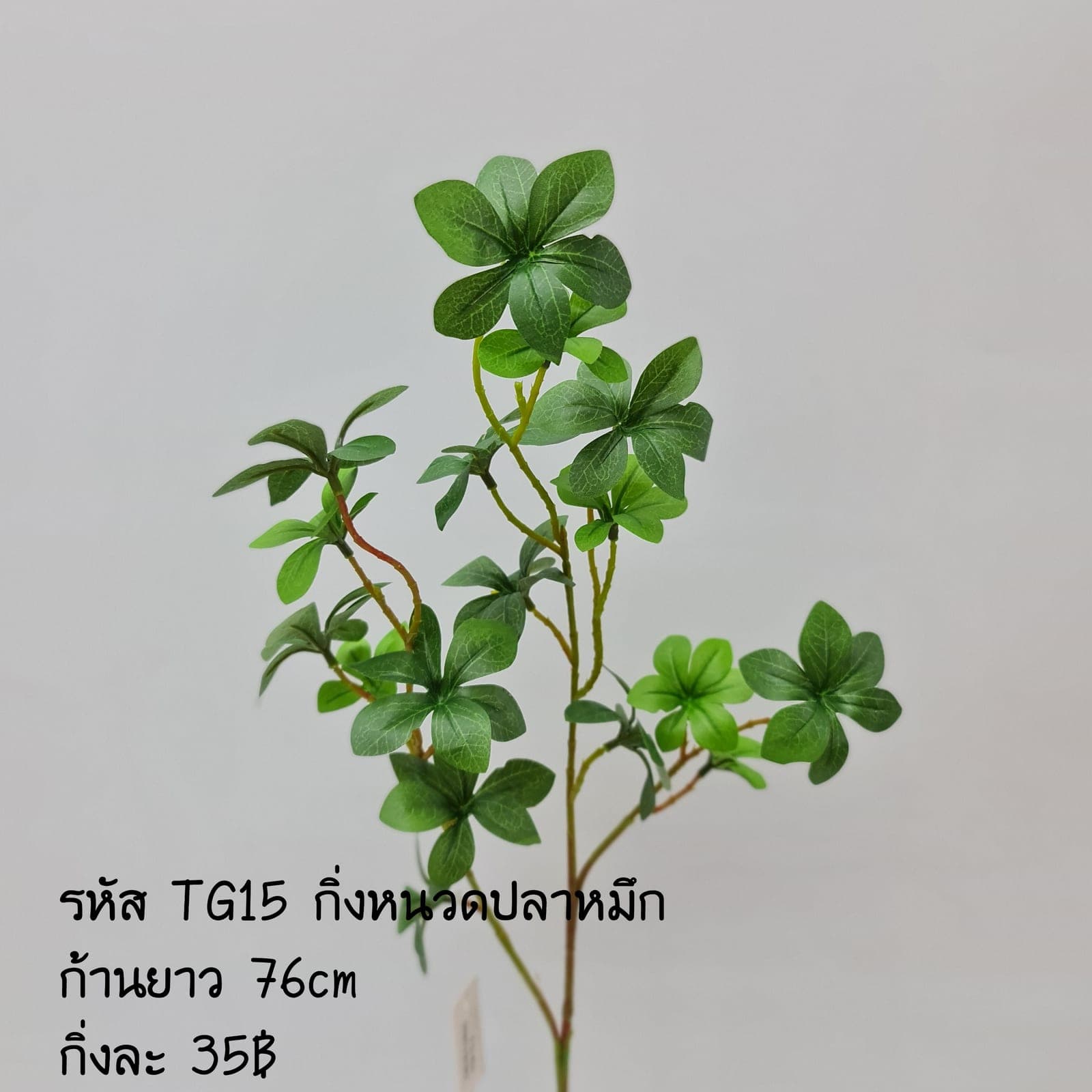 TG15 (TG15), ชิ้นส่วนสไตล์ลิ่ง: องค์ประกอบเสริมเพื่อจัดบรรยากาศและองค์ประกอบโดยรวม