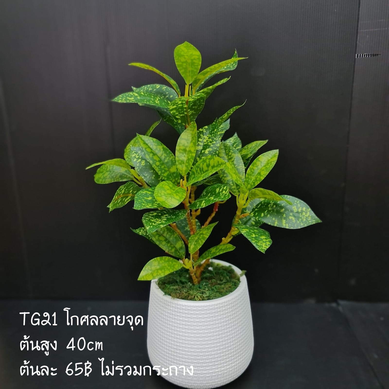 TG21 (TG21), ชิ้นส่วนสไตล์ลิ่ง: องค์ประกอบเสริมเพื่อจัดบรรยากาศและองค์ประกอบโดยรวม