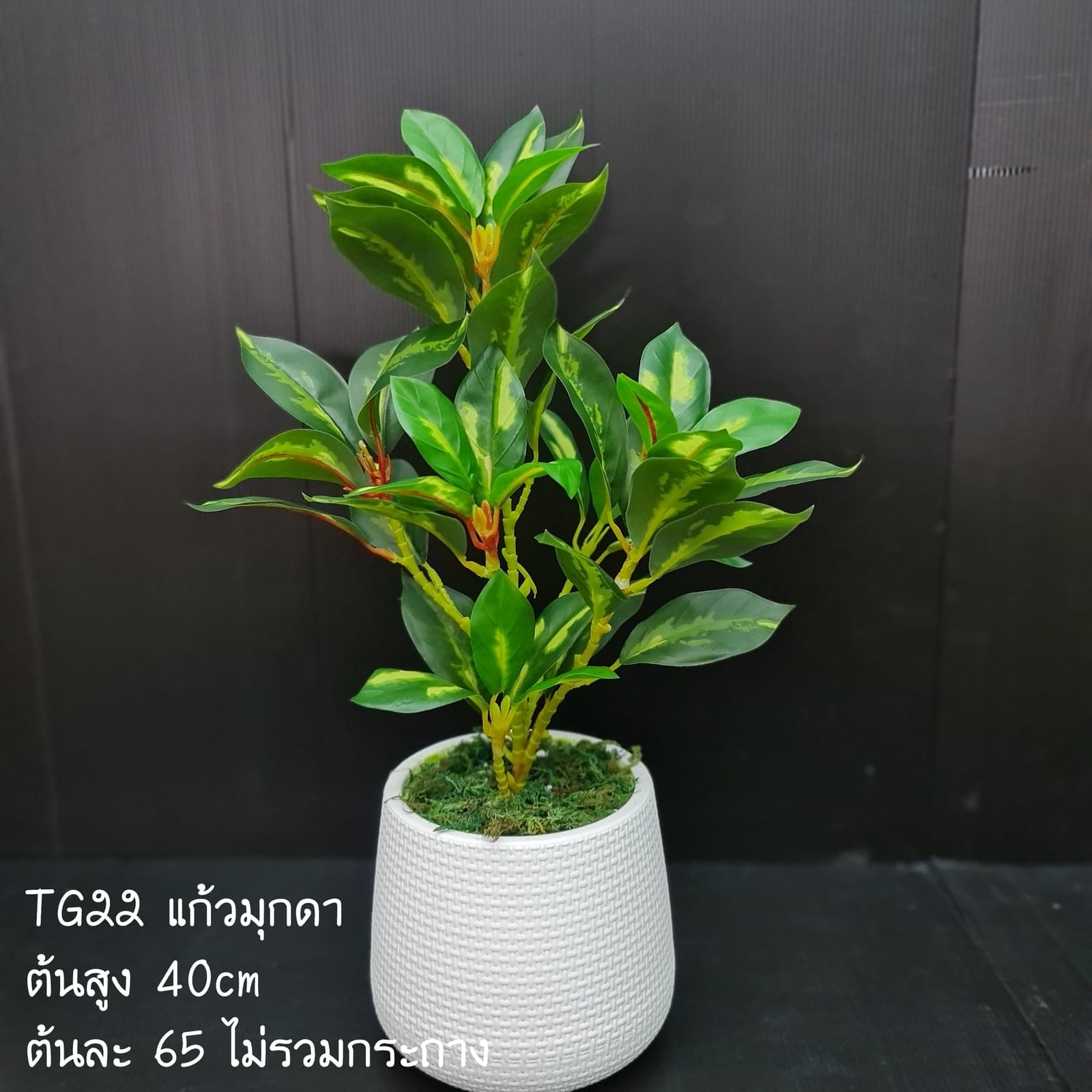 TG22 (TG22), ชิ้นส่วนสไตล์ลิ่ง: องค์ประกอบเสริมเพื่อจัดบรรยากาศและองค์ประกอบโดยรวม