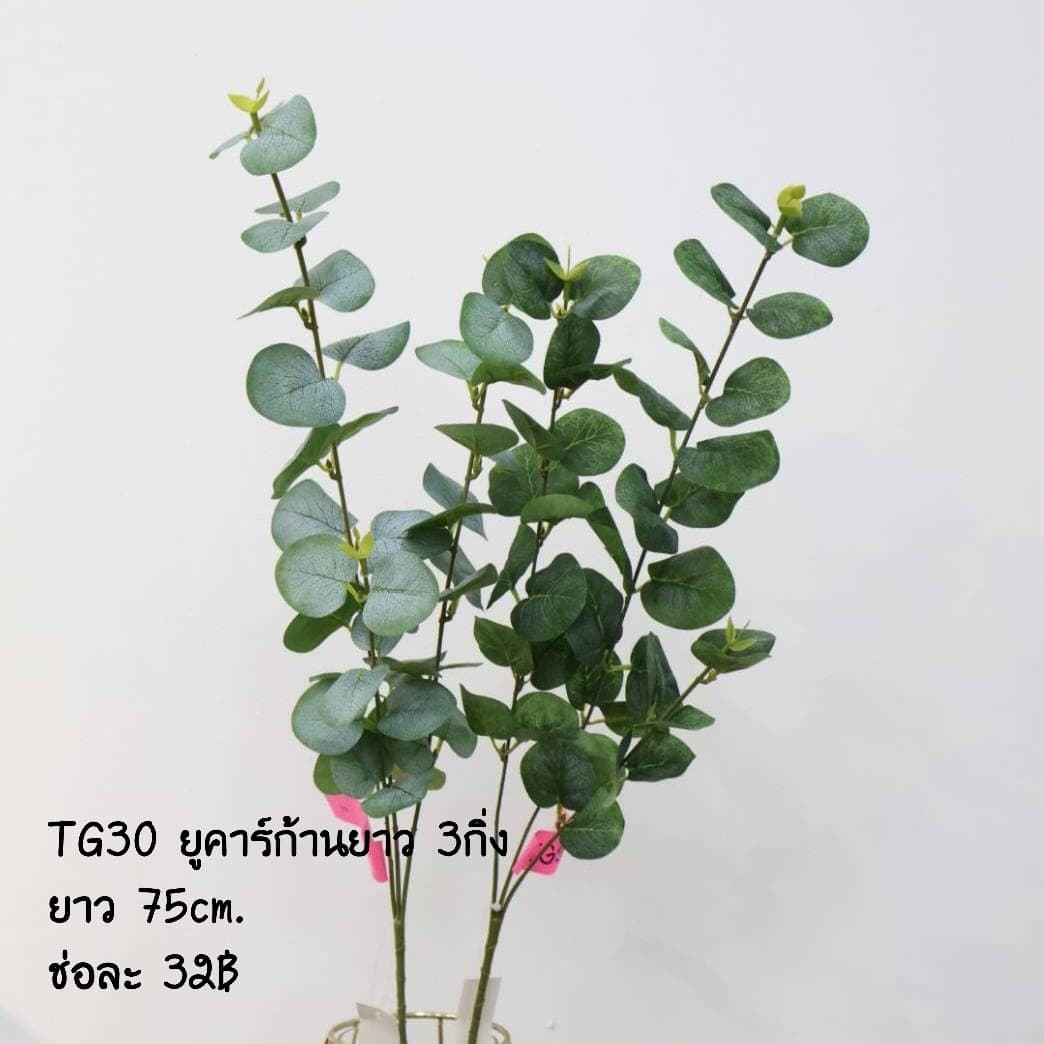 ยูคาร์ก้านยาว 3กิ่ง (TG30)
