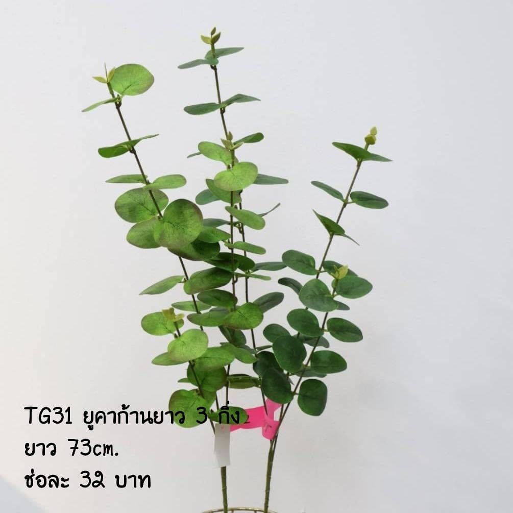 ยูคาร์ก้านยาว 3กิ่ง (TG31)