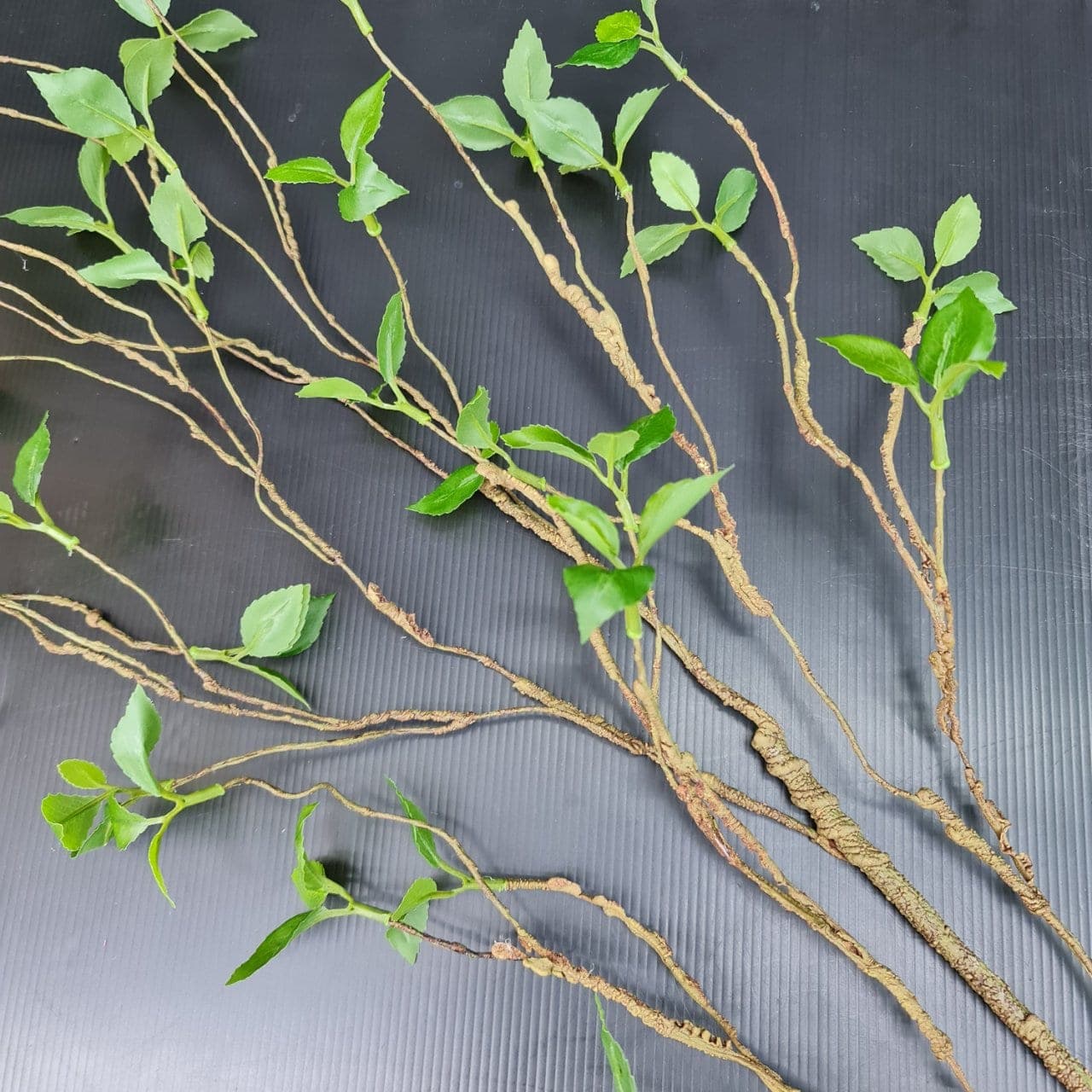 ซาริก+ใบ (TI03), ใบไม้: ใบเขียวสำหรับเสริมความสมดุลและเป็นพื้นหลังให้ดอกหลัก