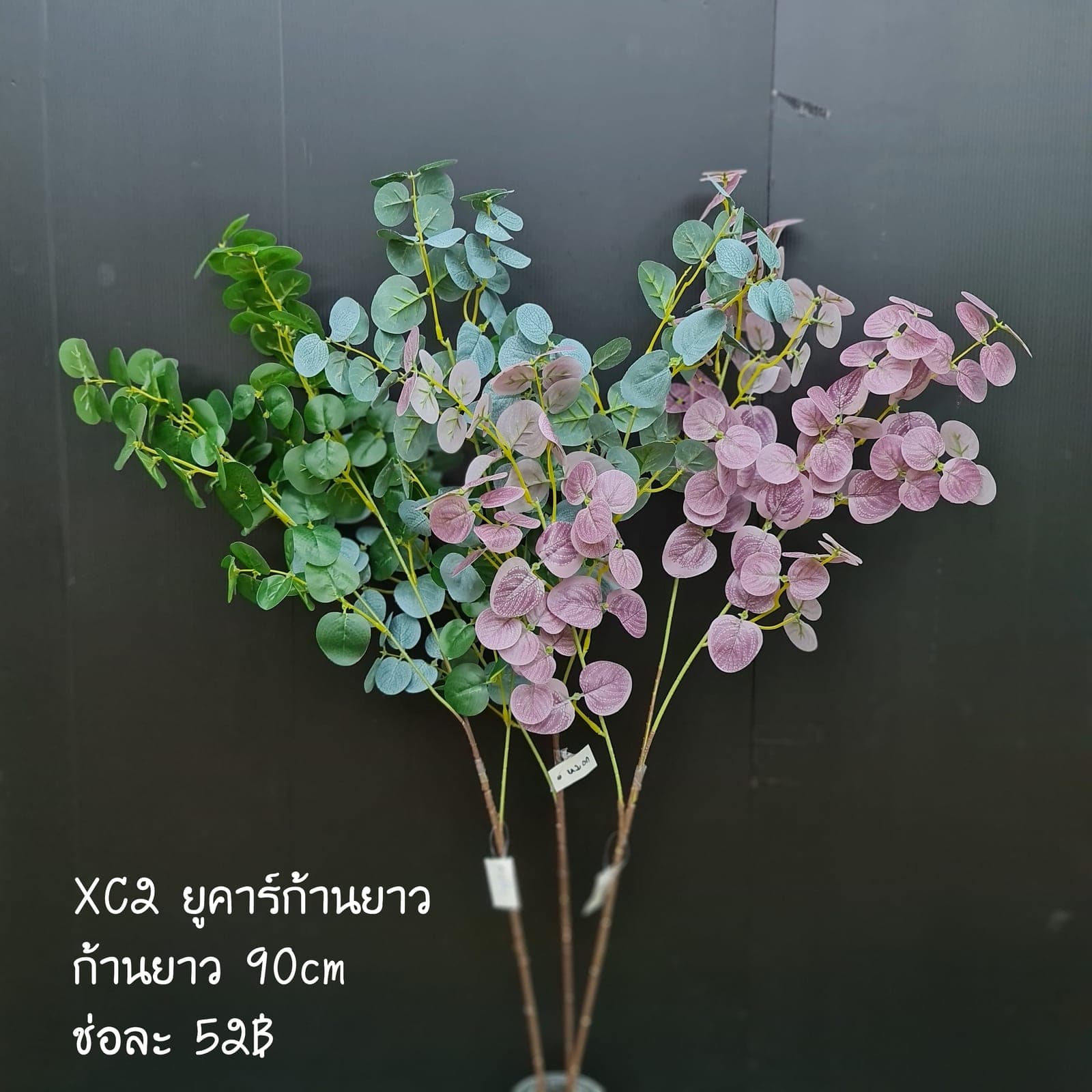 XC2 (XC2), ชิ้นส่วนสไตล์ลิ่ง: องค์ประกอบเสริมเพื่อจัดบรรยากาศและองค์ประกอบโดยรวม