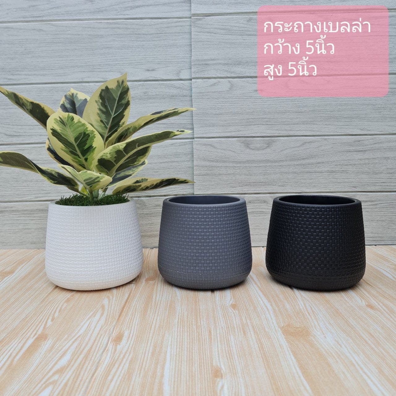 กระถางเบลล่า 5 นิ้ว (XFCLKT4), กระถางชิ้นส่วนสไตล์ลิ่ง: องค์ประกอบเสริมเพื่อจัดบรรยากาศและองค์ประกอบโดยรวม