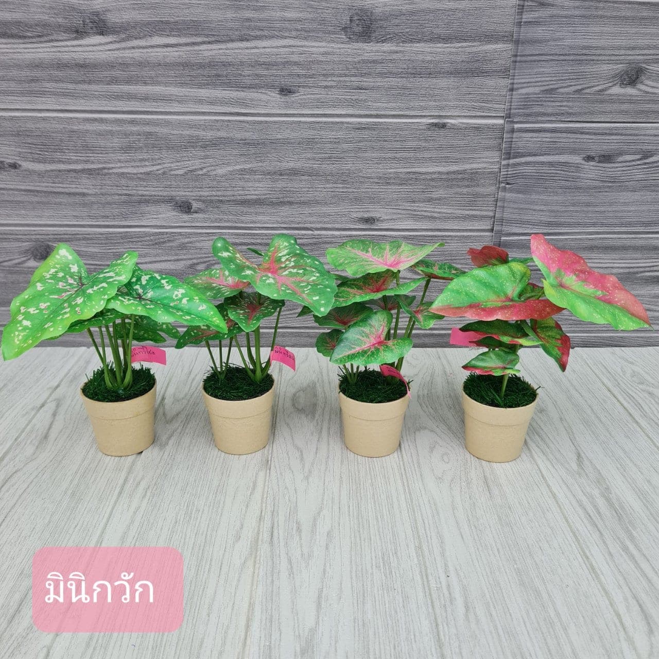 มินิกวัก (XFOSYTB), ชิ้นส่วนสไตล์ลิ่ง: องค์ประกอบเสริมเพื่อจัดบรรยากาศและองค์ประกอบโดยรวม