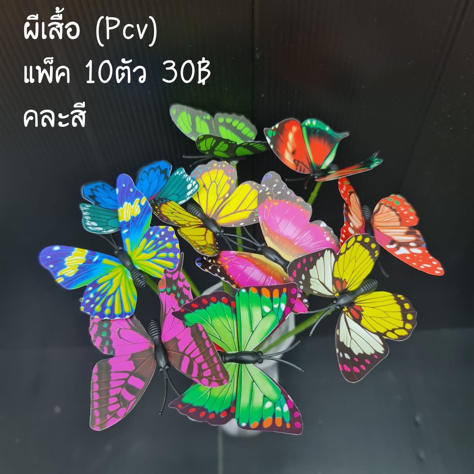 ผีเสื้อ (XL4TF2L), Styling piece: an accent piece used to round out the overall styling.