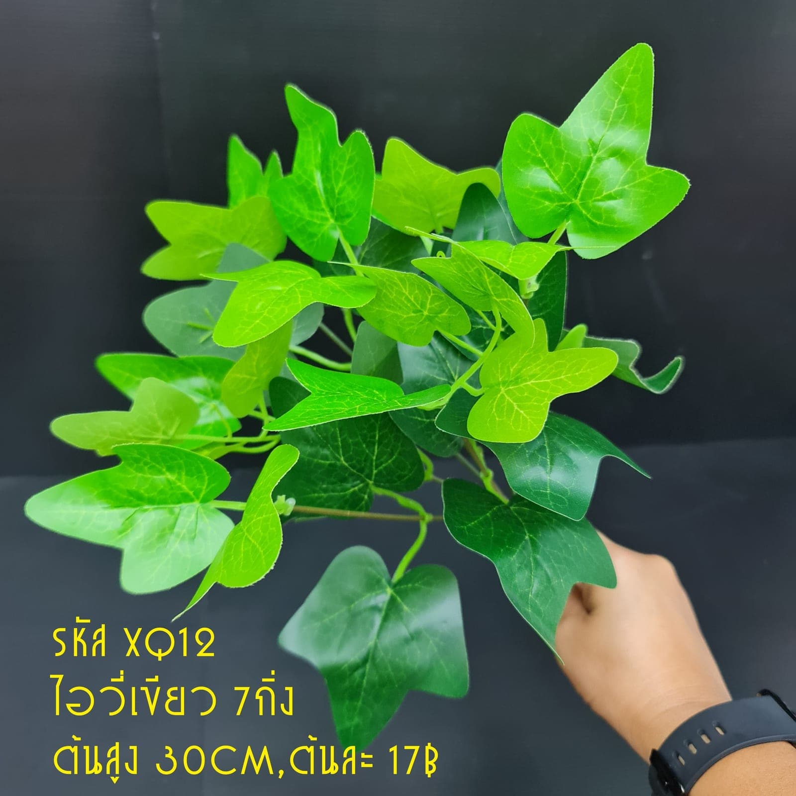 XQ12 (XQ12), ชิ้นส่วนสไตล์ลิ่ง: องค์ประกอบเสริมเพื่อจัดบรรยากาศและองค์ประกอบโดยรวม