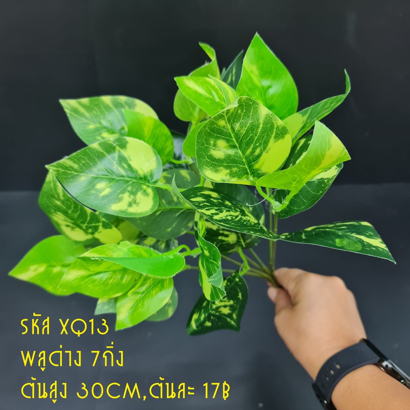 XQ13 (XQ13), ชิ้นส่วนสไตล์ลิ่ง: องค์ประกอบเสริมเพื่อจัดบรรยากาศและองค์ประกอบโดยรวม
