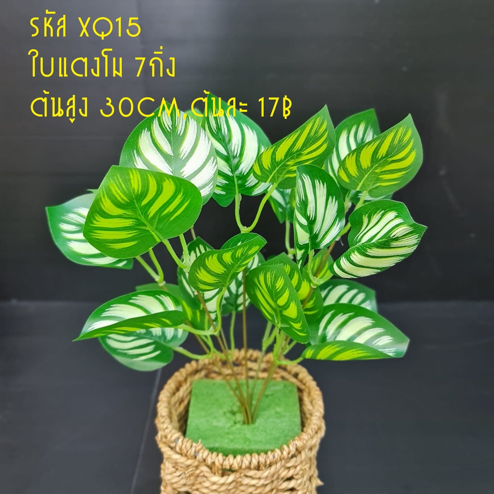 XQ15 (XQ15), ชิ้นส่วนสไตล์ลิ่ง: องค์ประกอบเสริมเพื่อจัดบรรยากาศและองค์ประกอบโดยรวม