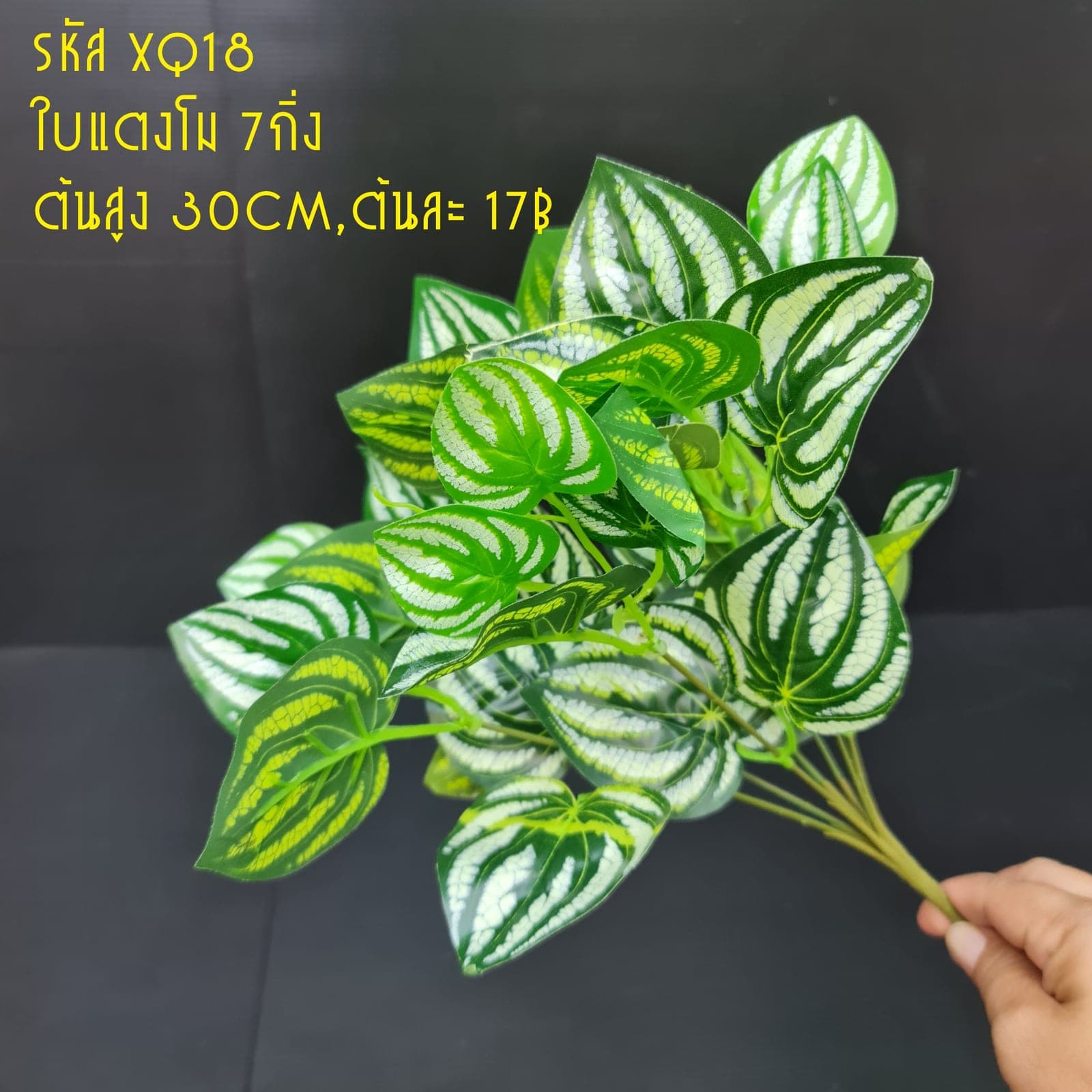 XQ18 (XQ18), ชิ้นส่วนสไตล์ลิ่ง: องค์ประกอบเสริมเพื่อจัดบรรยากาศและองค์ประกอบโดยรวม