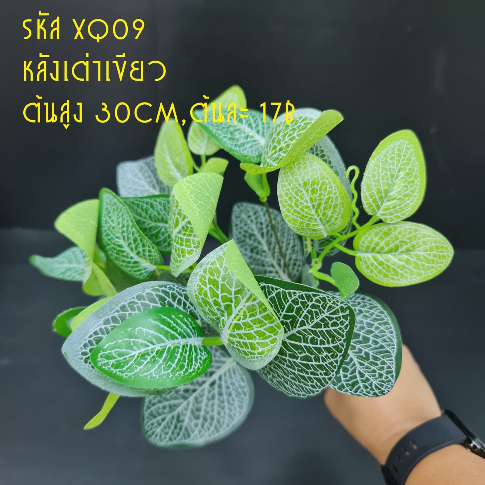 XQ9 (XQ9), ชิ้นส่วนสไตล์ลิ่ง: องค์ประกอบเสริมเพื่อจัดบรรยากาศและองค์ประกอบโดยรวม