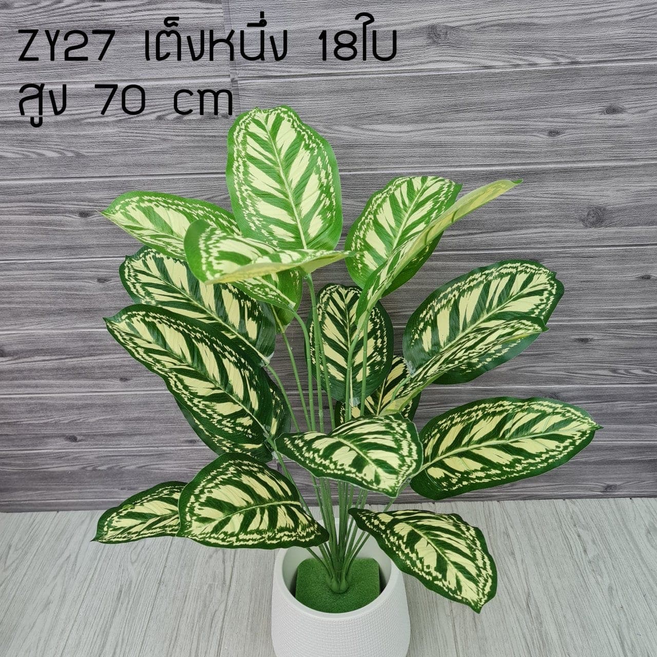 เต็งหนึ่ง18ใบ (ZY27), Foliage (18 leaves): green foliage that balances mass and grounds the focal flowers.