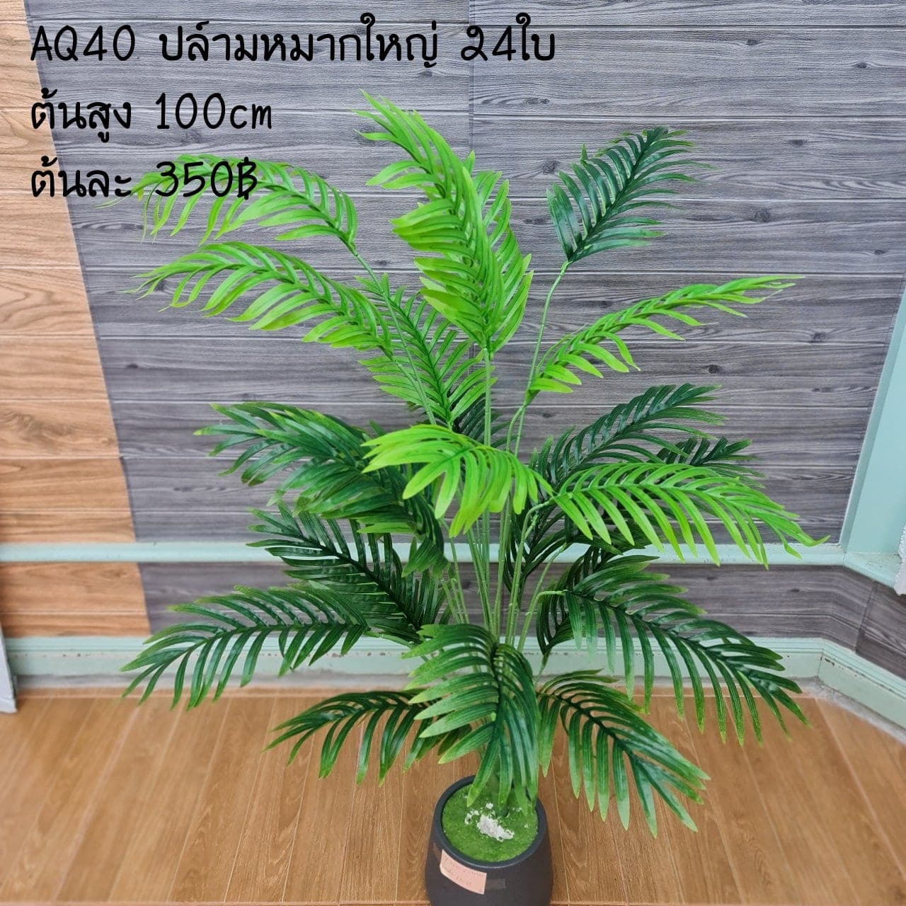ปล์ามหมากใหญ่24ใบ (AQ40), ใบไม้ 24 ใบ — ใบเขียวสำหรับเสริมความสมดุลและเป็นพื้นหลังให้ดอกหลัก